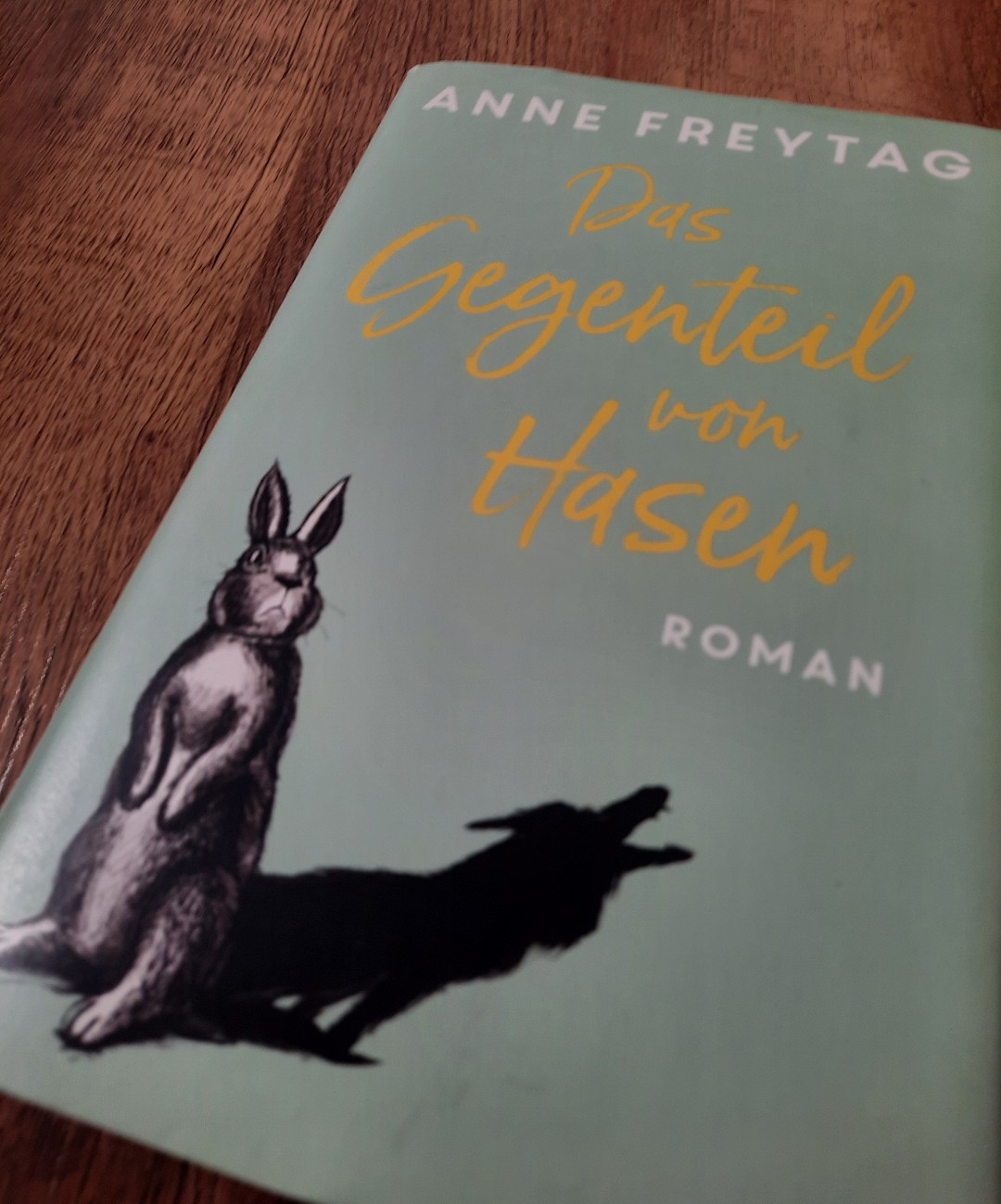 Ein sehr tiefgründiges Buch über alltägliche und doch so kleinerscheinende Probleme der Jugendlichen. Im Mittelpunkt steht Cybermobbing einer Schülerin.