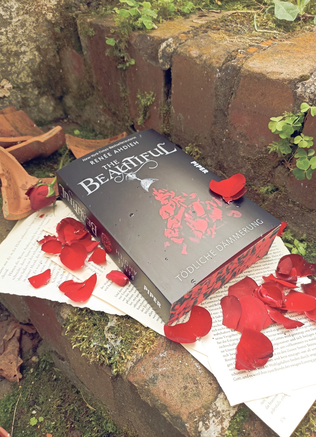 Atmosphärisch, stimmungsvoll, düster und romantisch