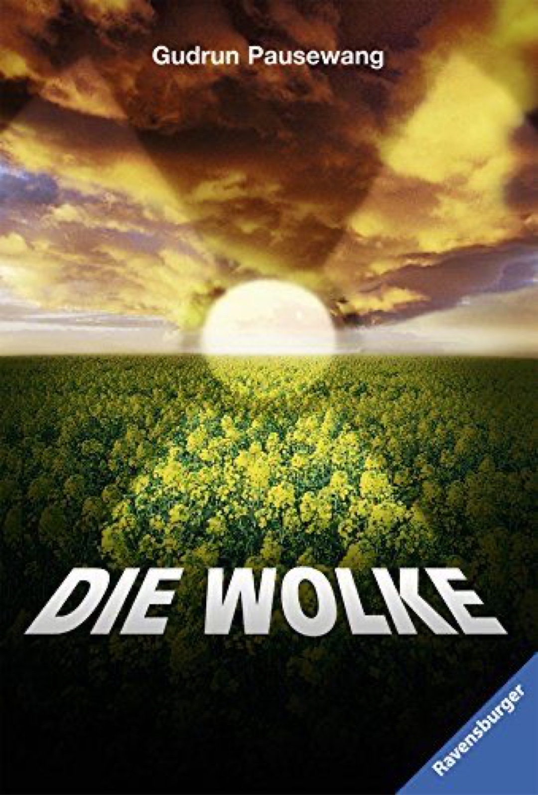 Wundervolles Buch, dass zum Nachdenken anregt