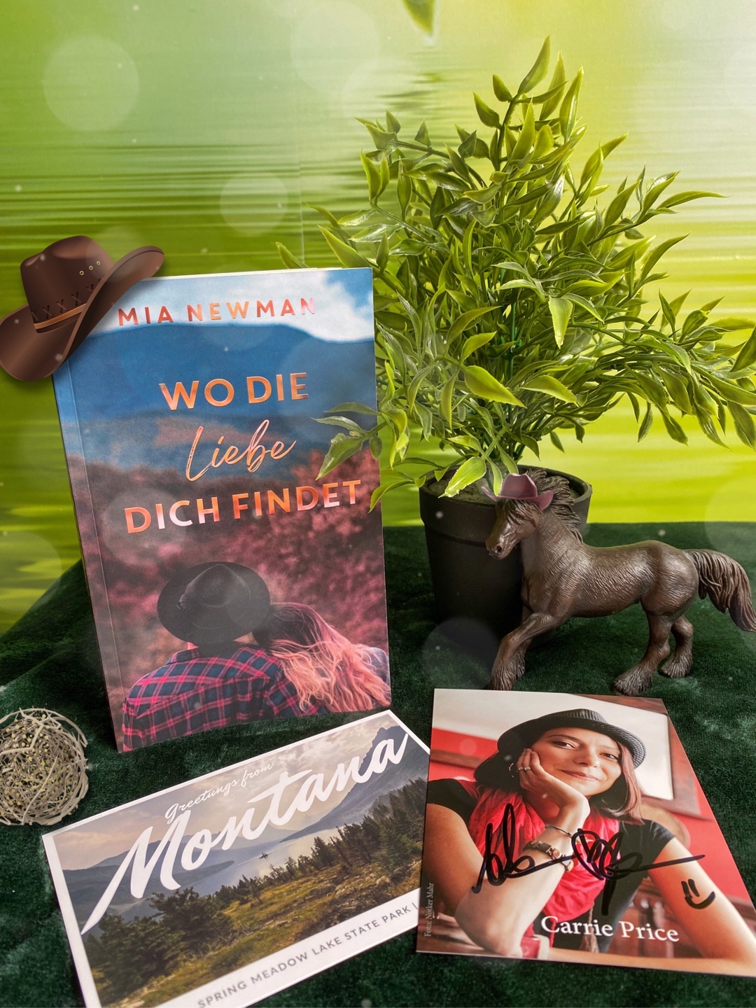 Countryfeeling pur! Ein ganz besonderes Buch das einem definitiv den Sommer versüßt. 🤓🤠