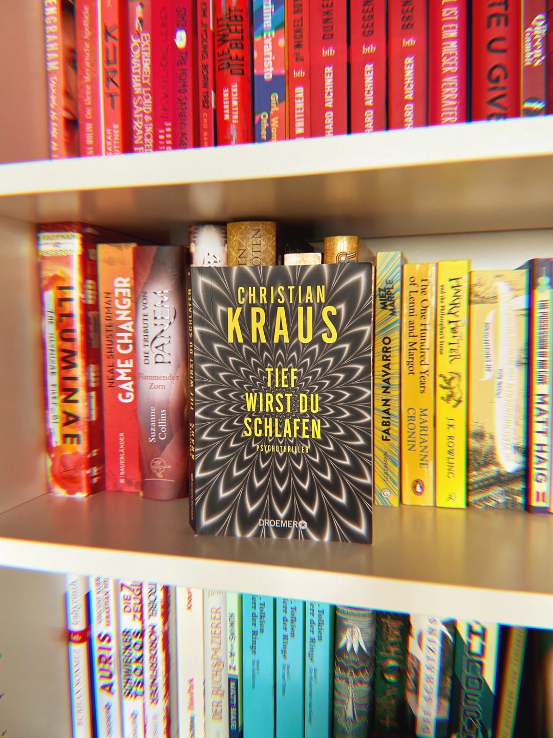 Kurzweiliger Thriller - ideal für zwischendurch!