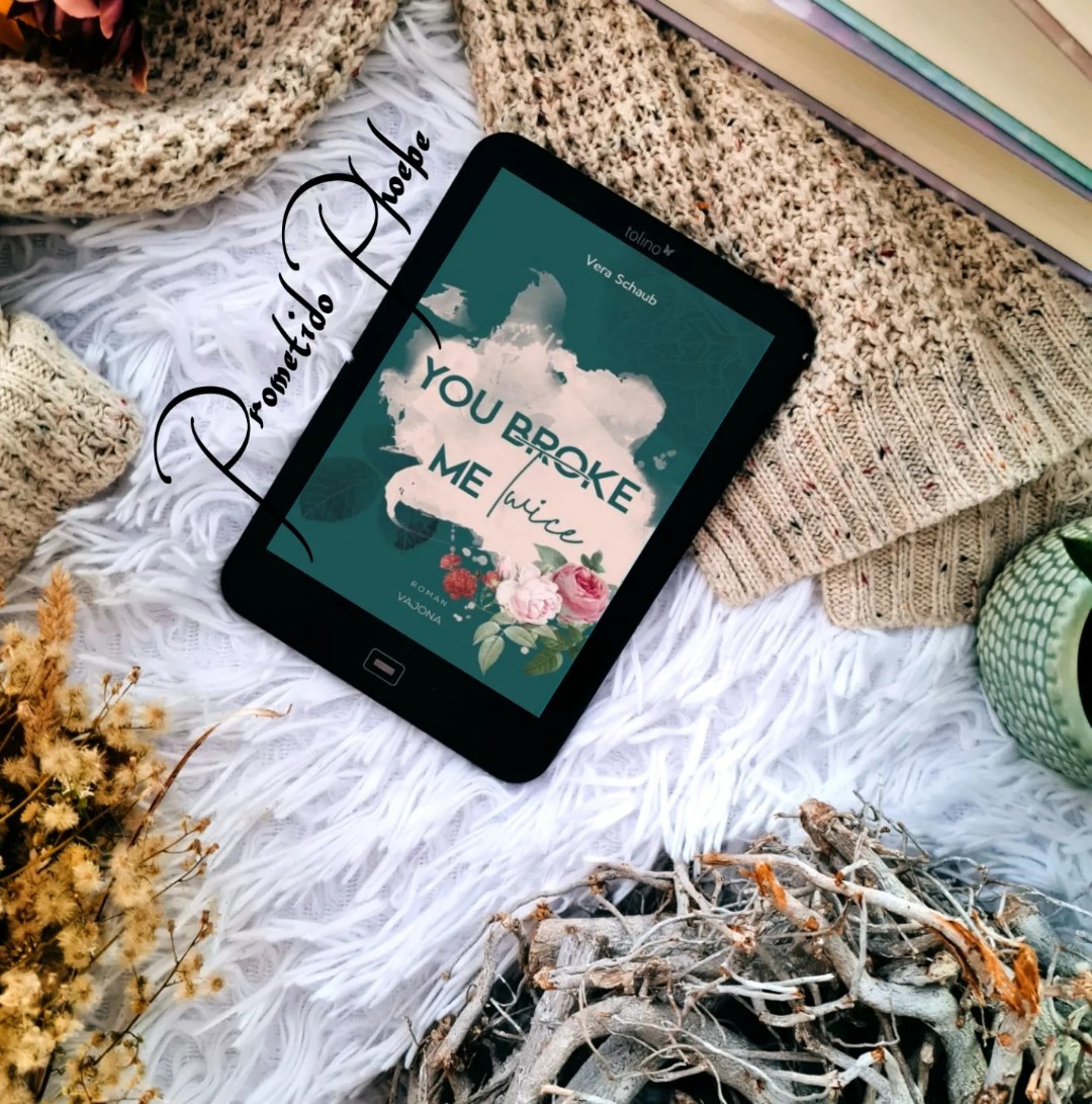 Rezension
You broke me twice
Vera Schaub