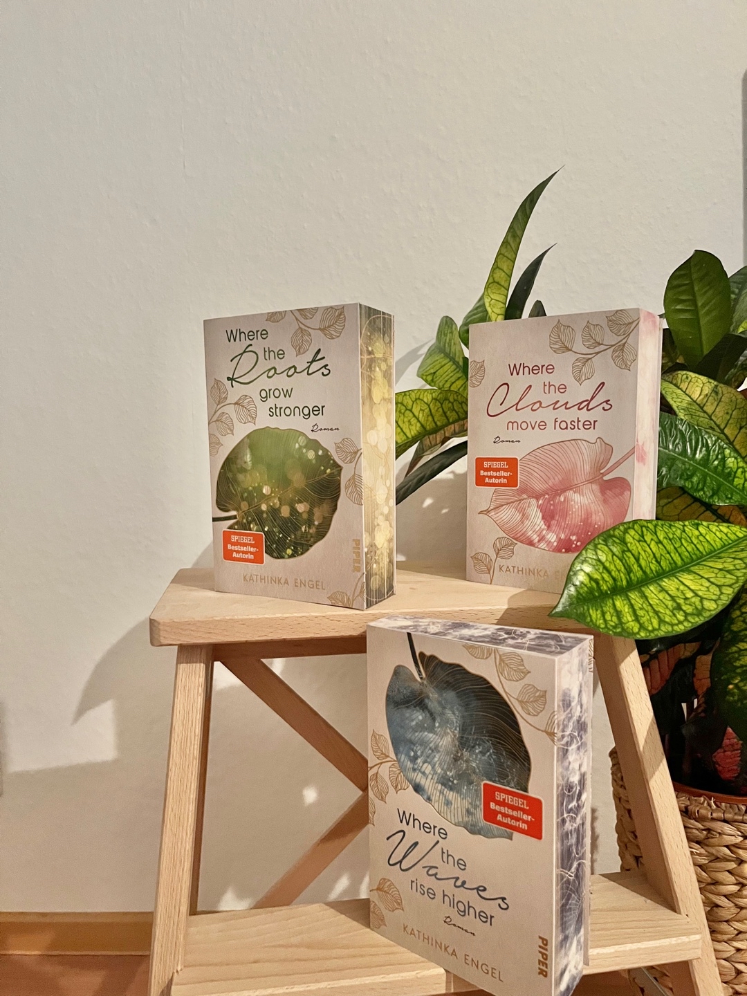 Ein wundervolles Buch, auch wenn es an manchen Stellen nicht ganz realistisch wirkt.