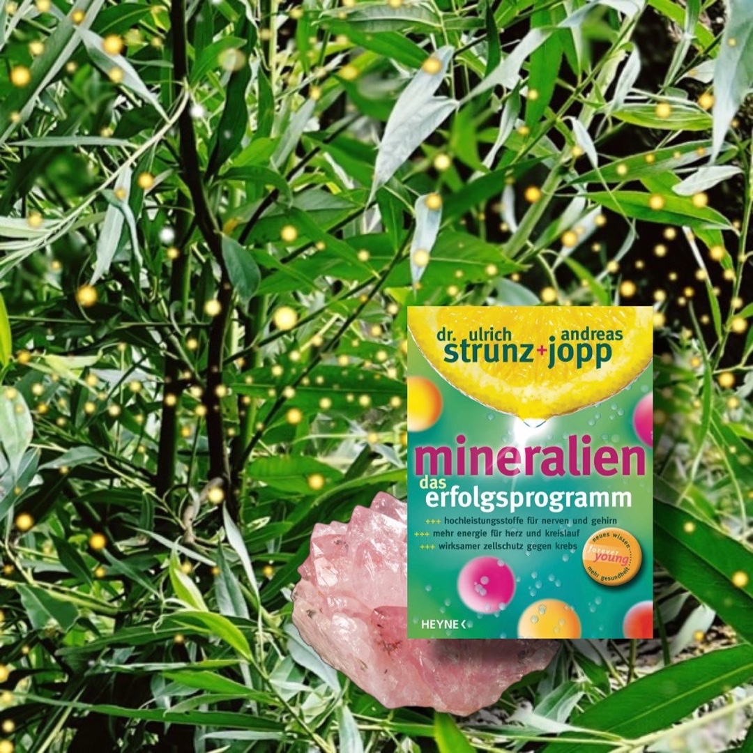 Toll erklärter Ratgeber
