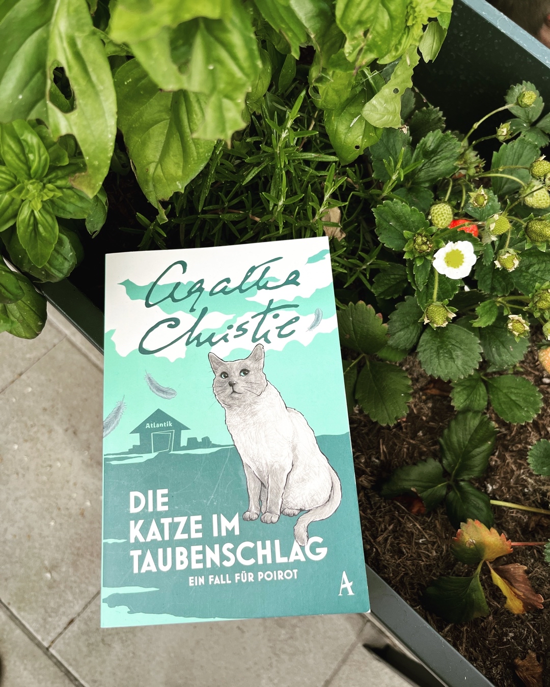 Ein absoluter Klassiker!