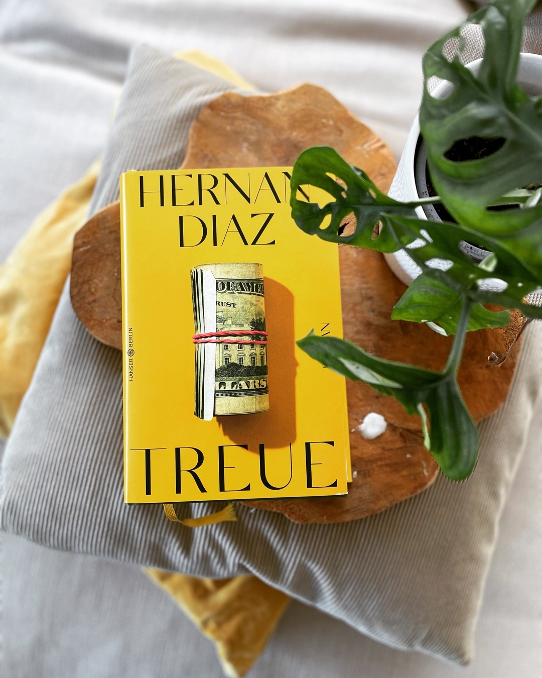 📖 Ein vielschichtig Roman mit einer innovativen Herangehensweise. Die Finanzdarstellungen, die Charakterzeichnungen und die teils Langatmigkeit machen "Treue" für mich zu keinem Lesehighlight.