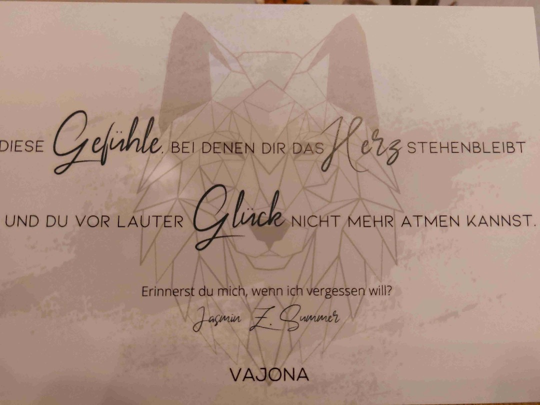 Schöne Story, gut zu lesen, aber manchmal in sich nicht ganz schlüssig
