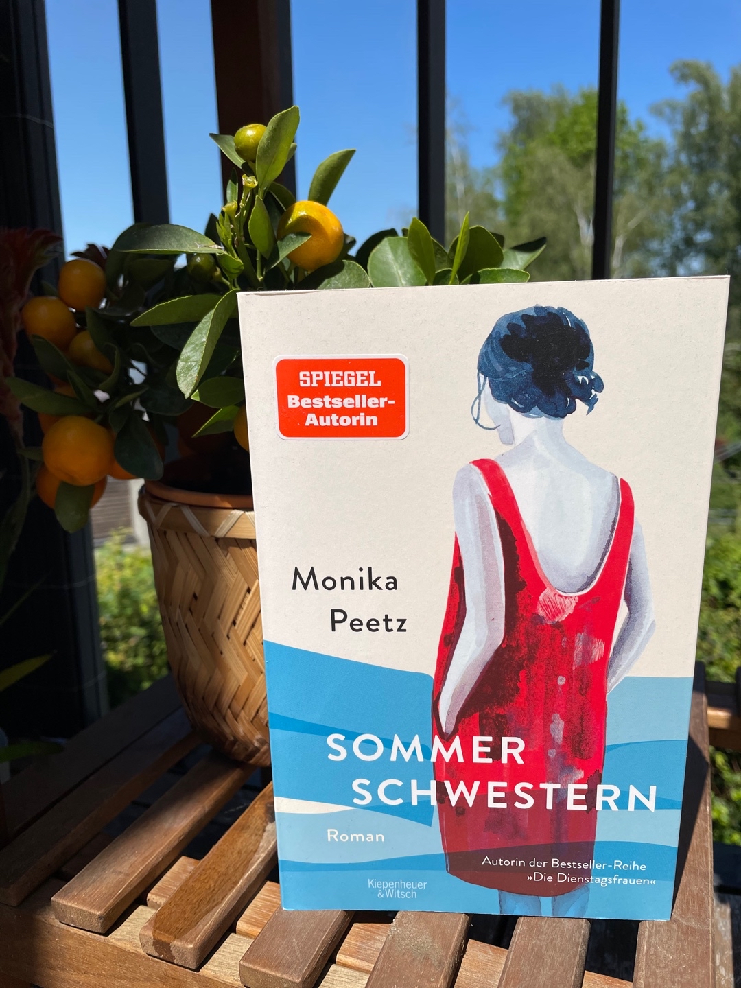 Seichte Urlaubslektüre in holländischer Kulisse.