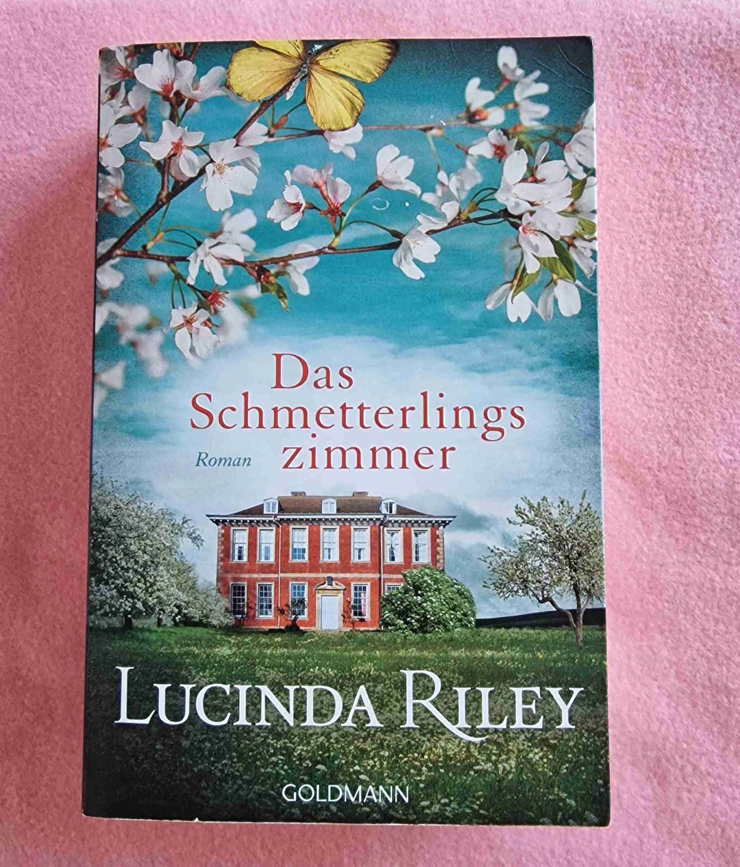 Von dem Roman hatte ich mehr erwartet.