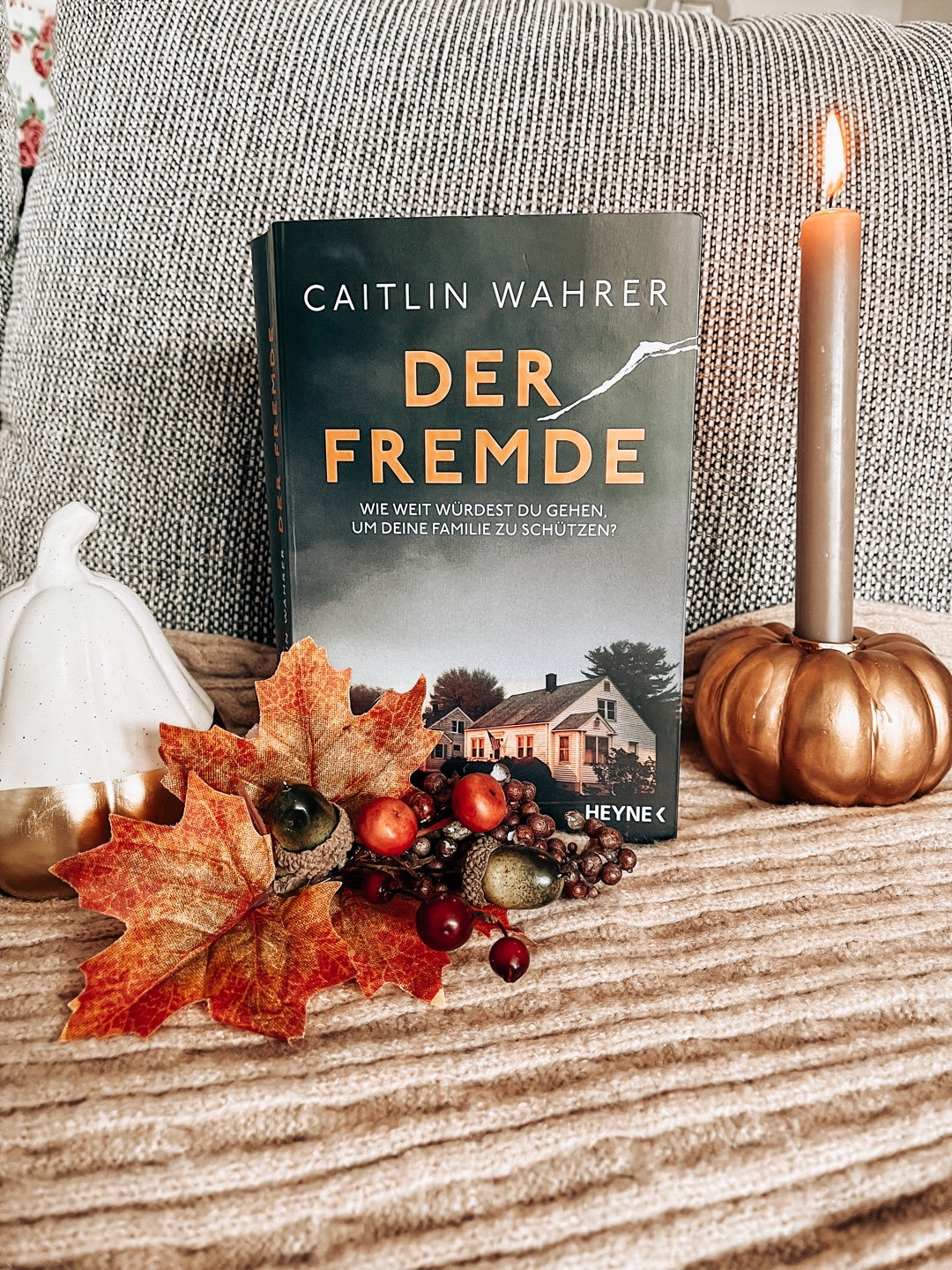 Ein wirklich besonderer Thriller mit wichtigen Themen und Familienbünden!