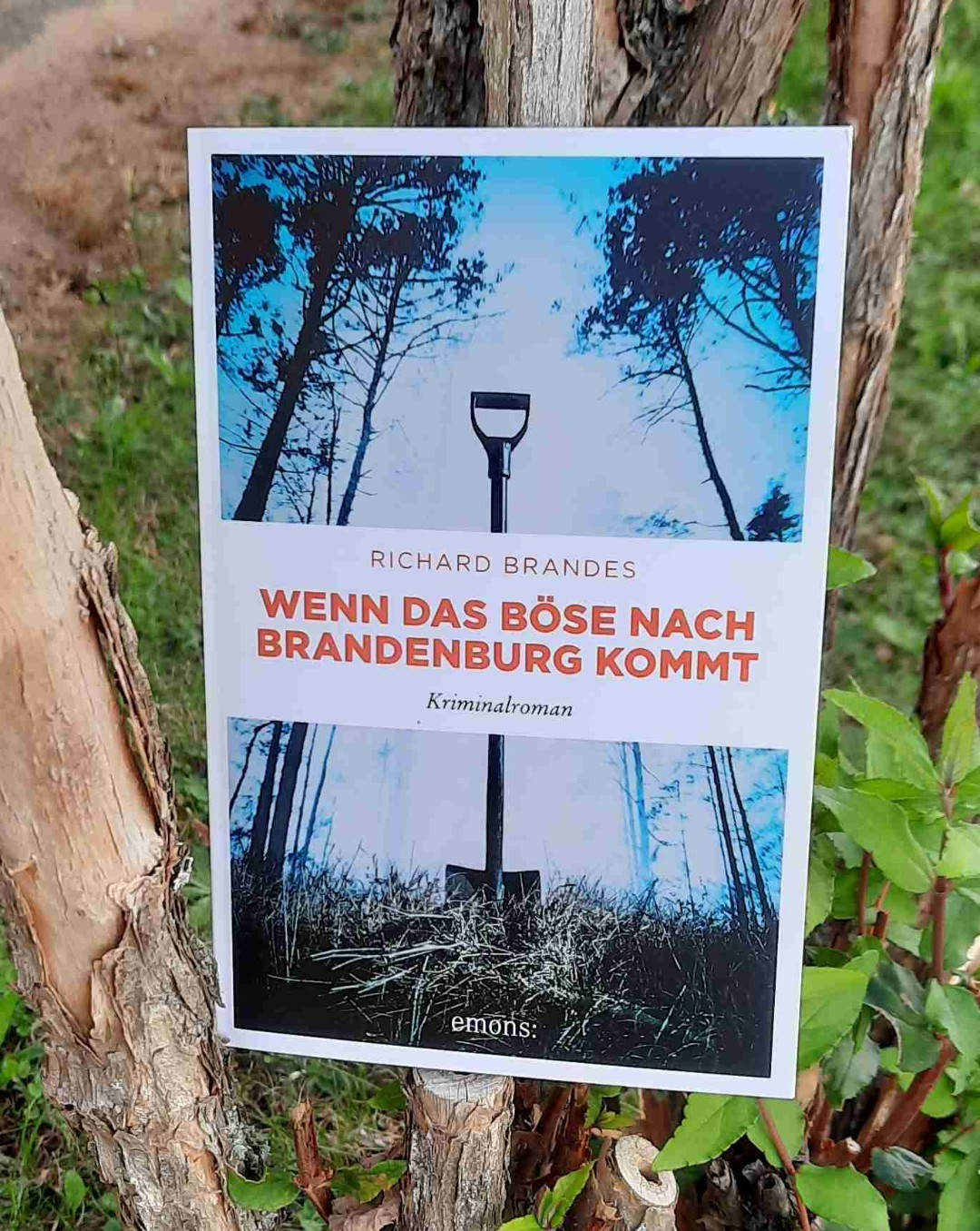 Gelunge Fortsetzung.