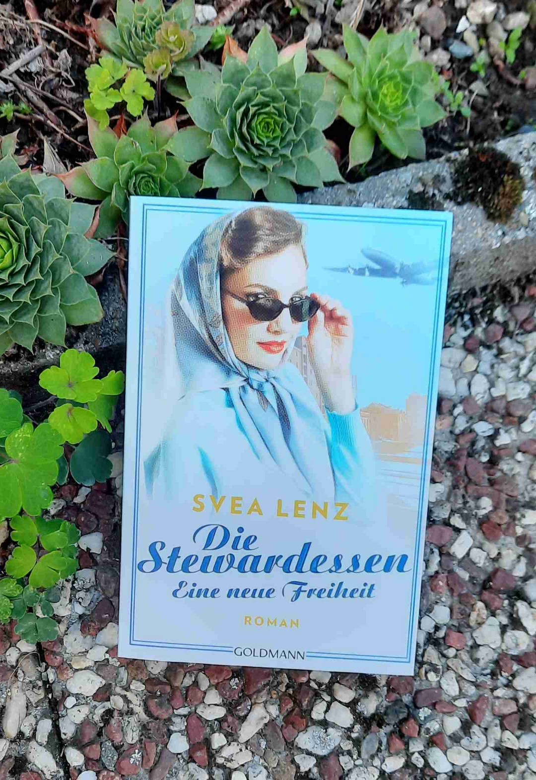 Einsteigen, abheben und genießen.