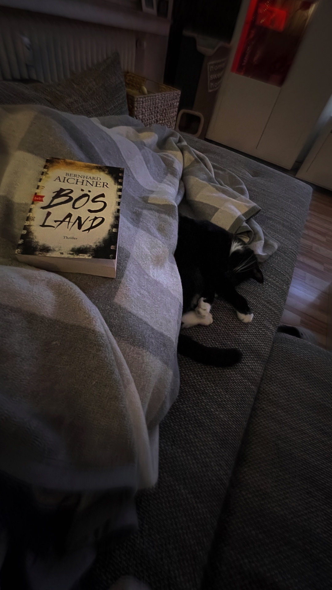 Ein gutes Buch. Kann man leicht und schnell lesen.
Hat mich jetzt aber nicht so von Hocker gehauen.