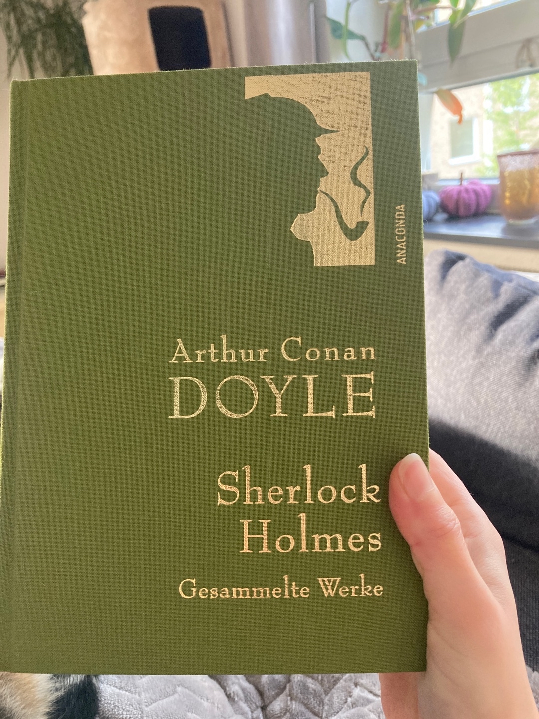 Ein Klassiker, den man mal gelesen haben sollte.