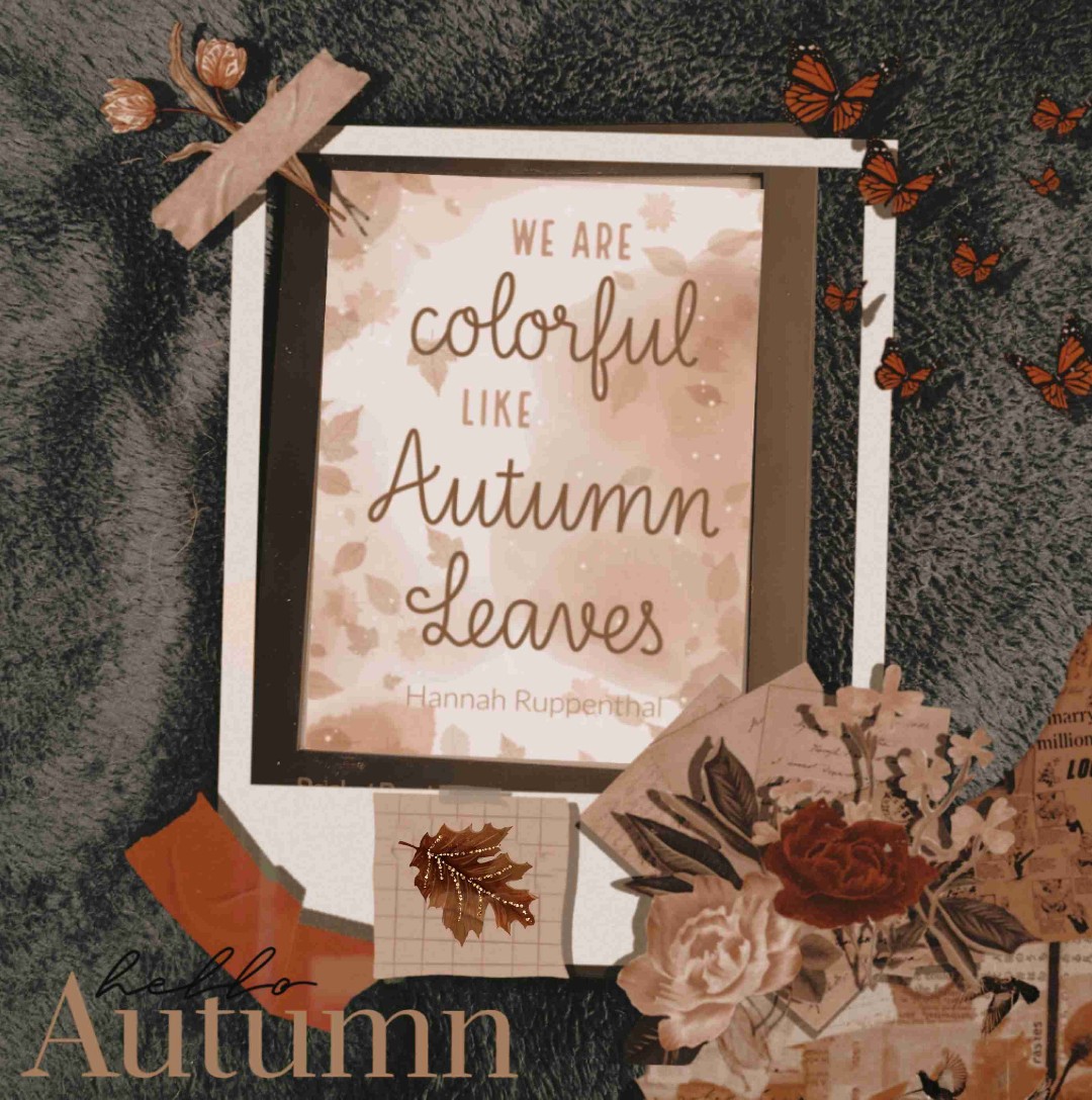 Absolutes Wohlfühlbuch für Herbstliebhaber 😍