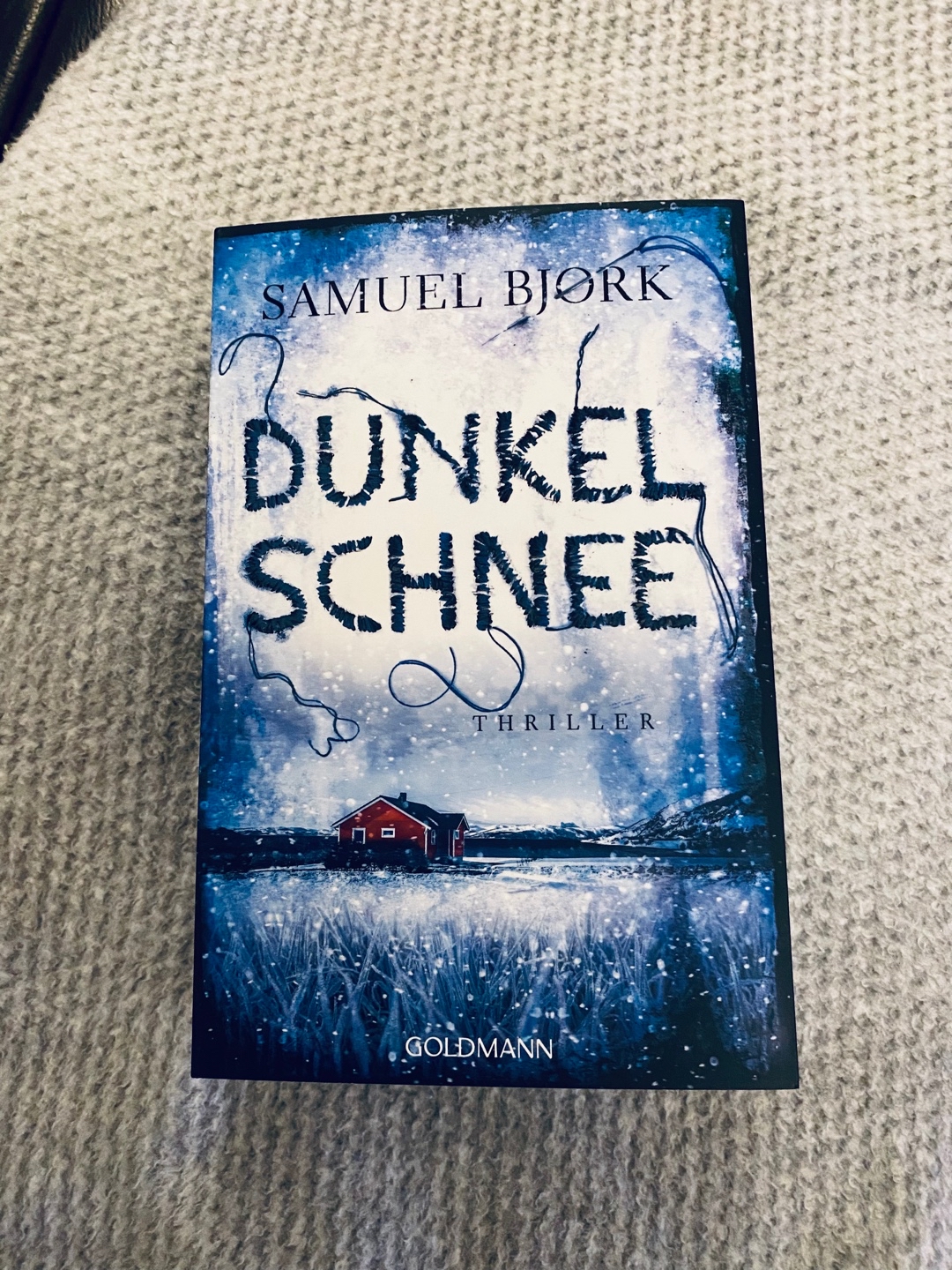 Solider Thriller mit kleinen Schwächen