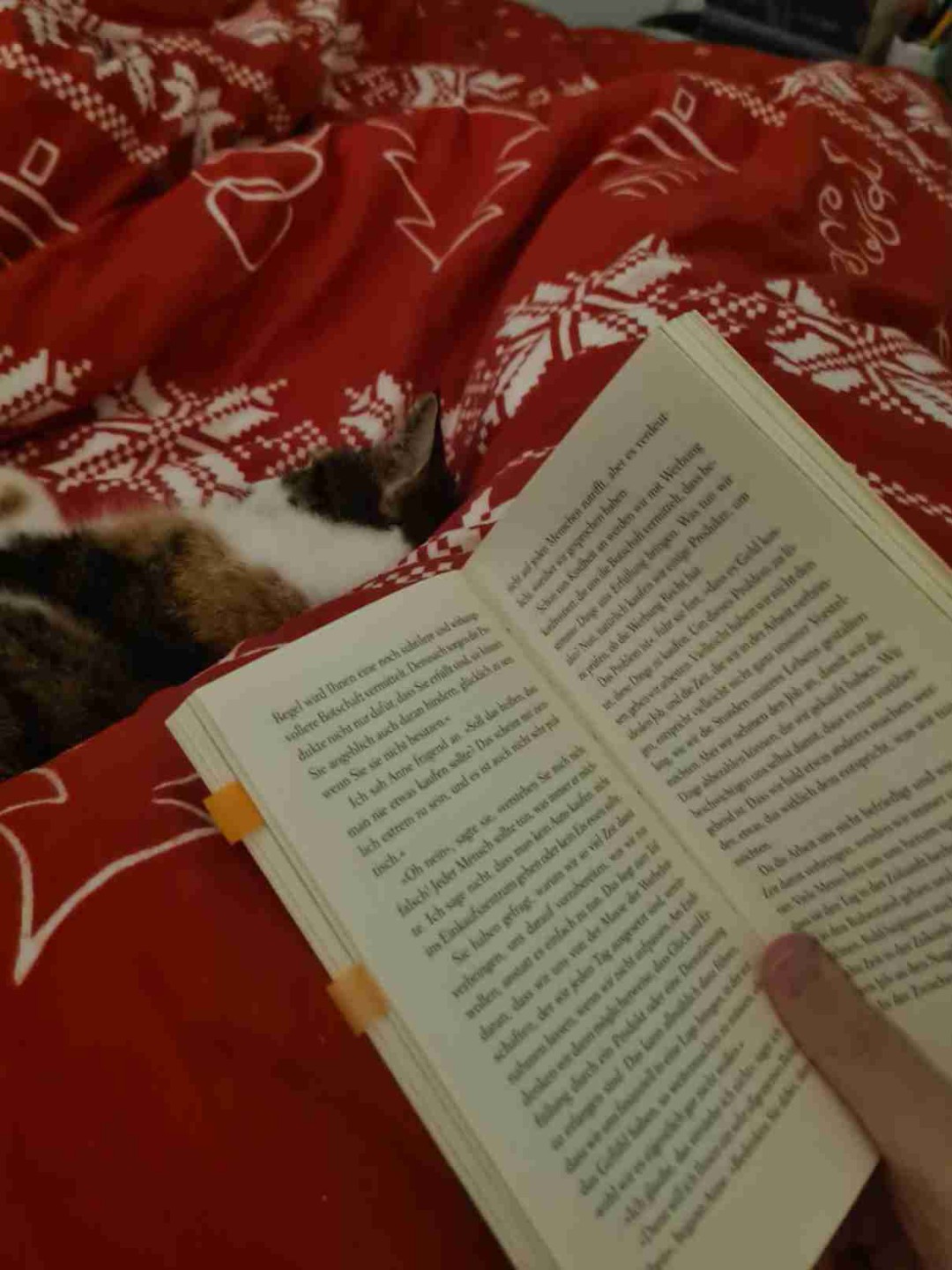 Das Buch war ganz OK. Es war nicht so mein Thema. Die Geschichte von dem ,,Café der Fragen" und dem Sinn des Lebens war ganz nett.