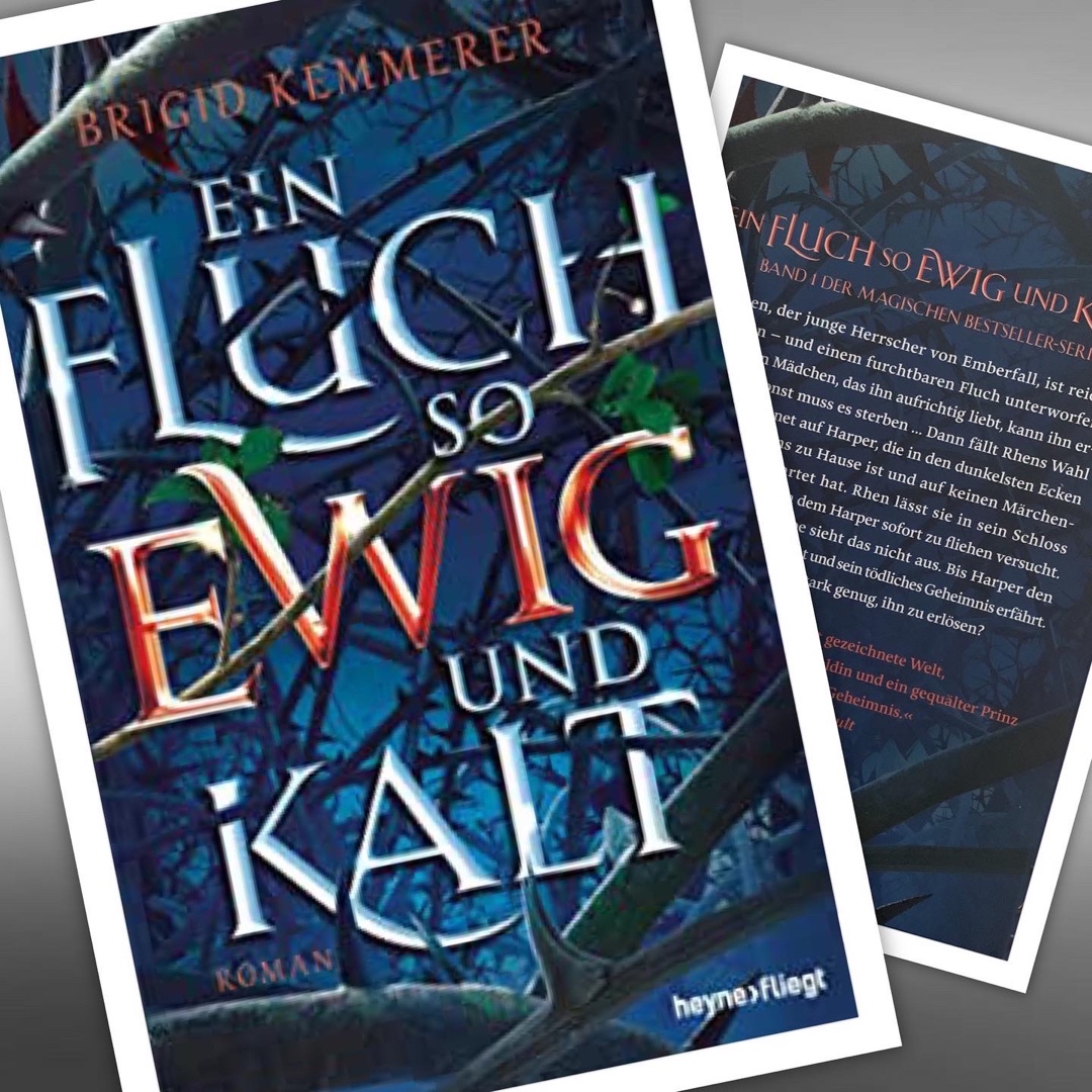 Die Reise nach Emberfall hat mir sehr gut gefallen - ein toller Auftakt der Trilogie