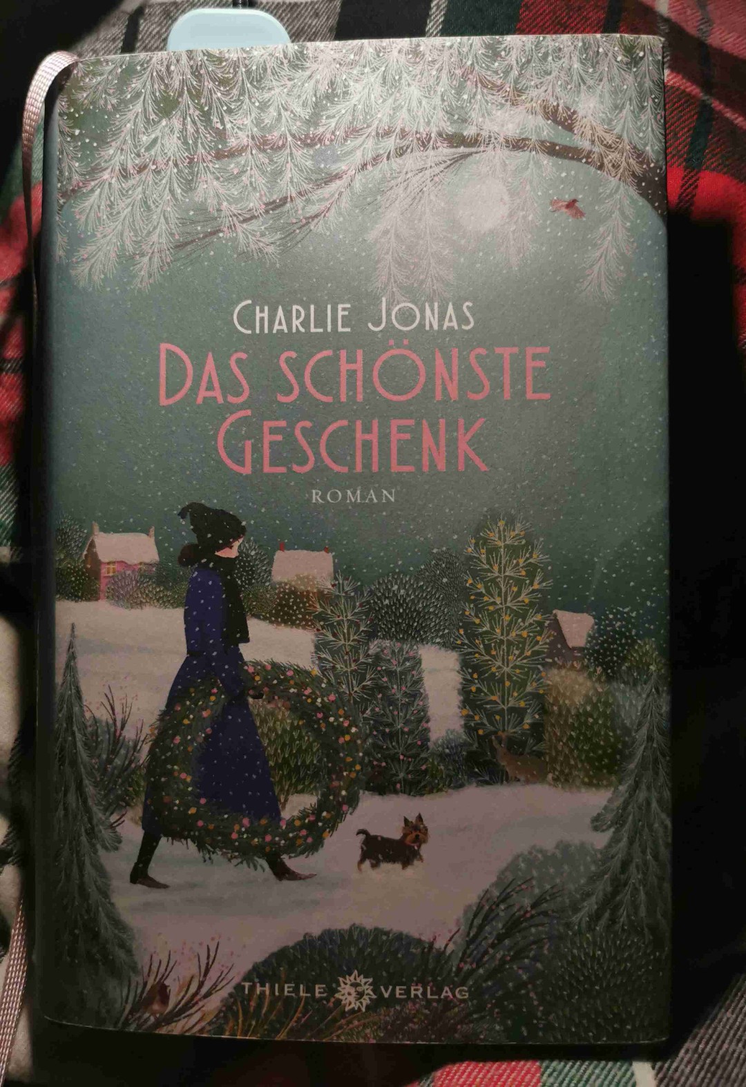 Absolut schöne und herzliche Weihnachts Geschichte