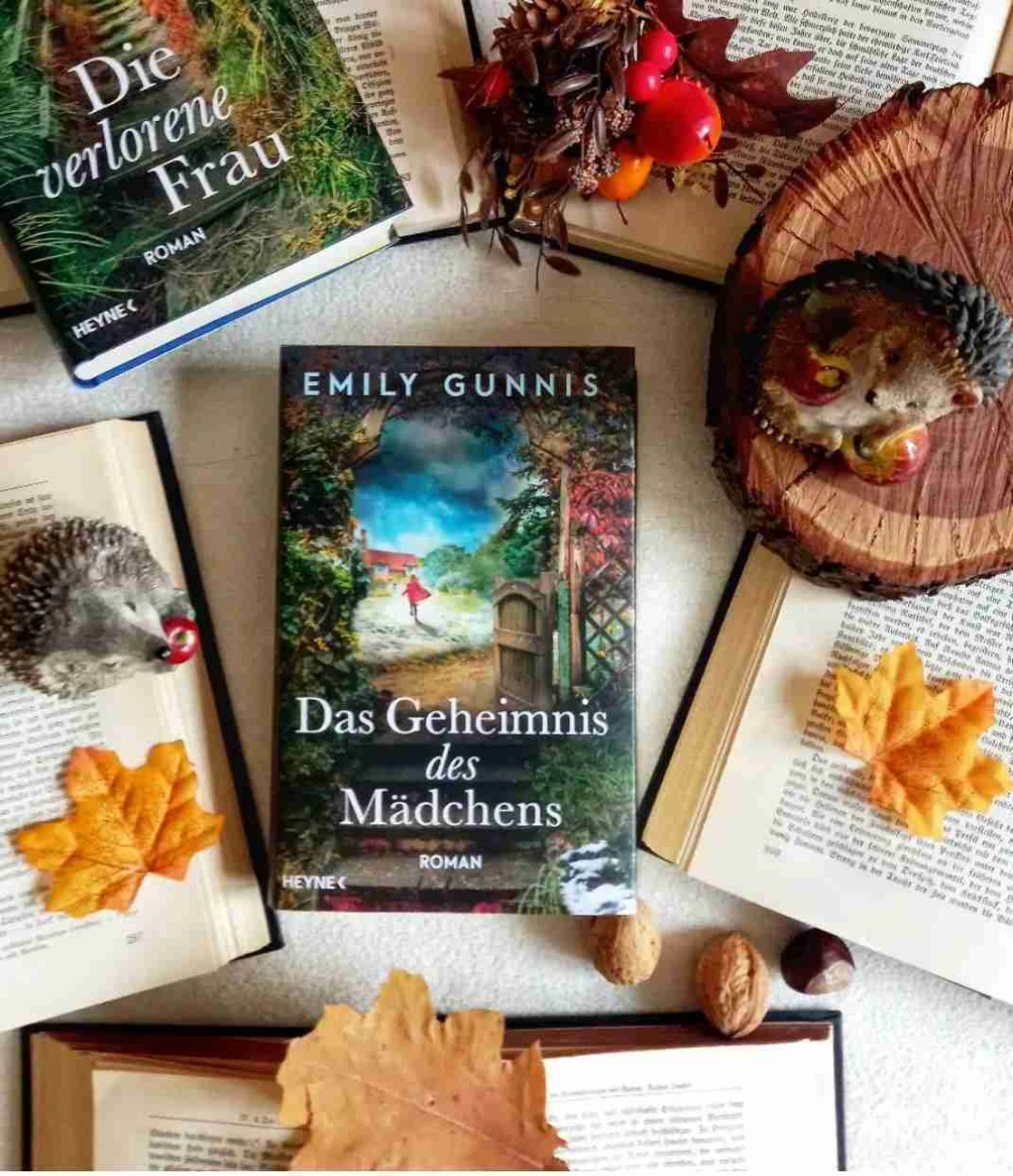 Ein Spannungsroman, der mich zunehmend fesseln konnte