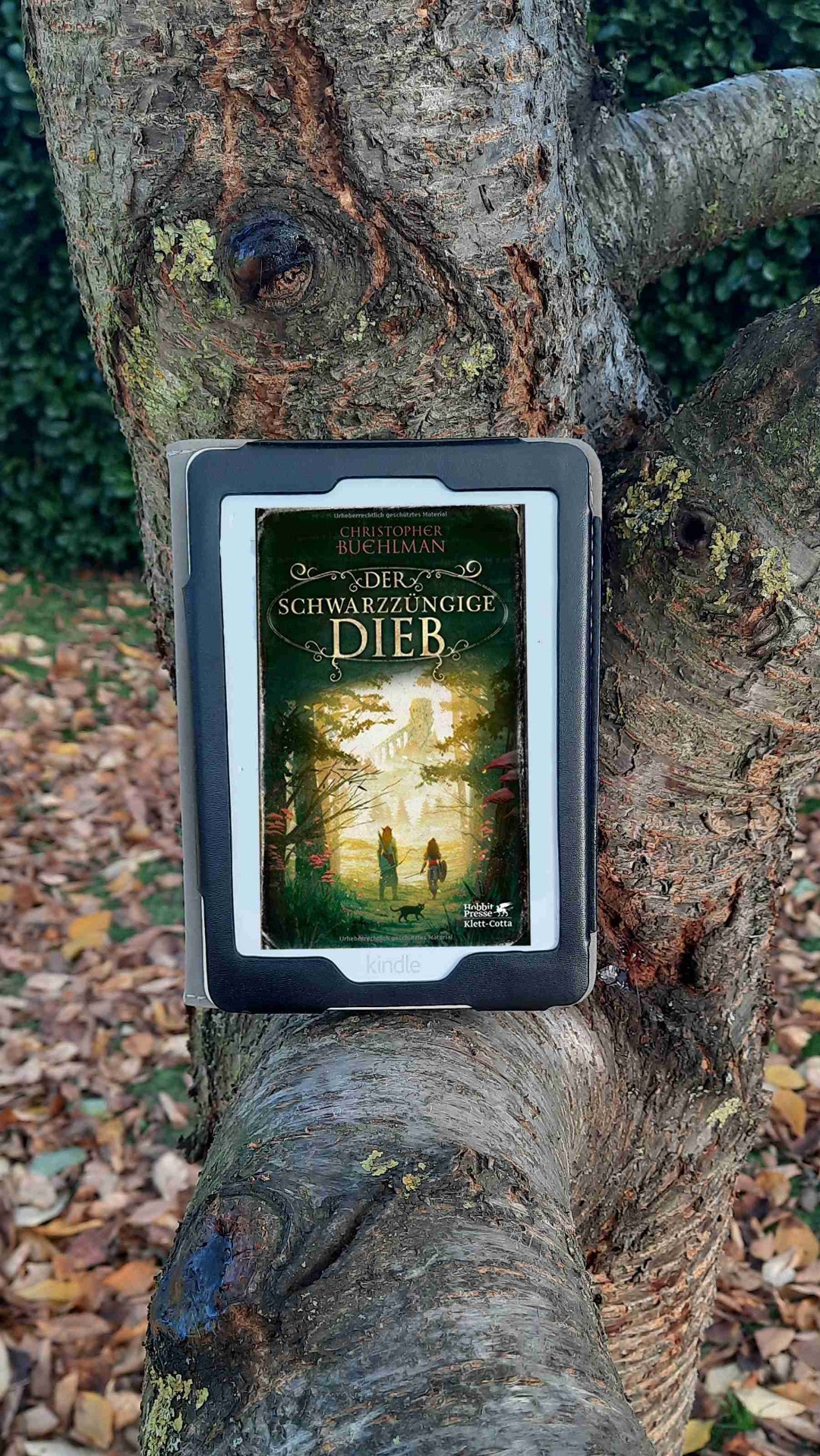 Mögt ihr humorvolle High Fantasy? Dann könnte „Der schwarzzüngige Dieb“ von Christopher Buehlman (übersetzt von Michael Pfingstl und Urban Hofstetter) genau das richtige Buch für euch sein.