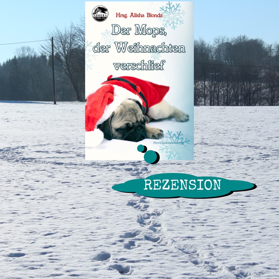 6 liebevoll ausgesuchte Weihnachtsnovellen