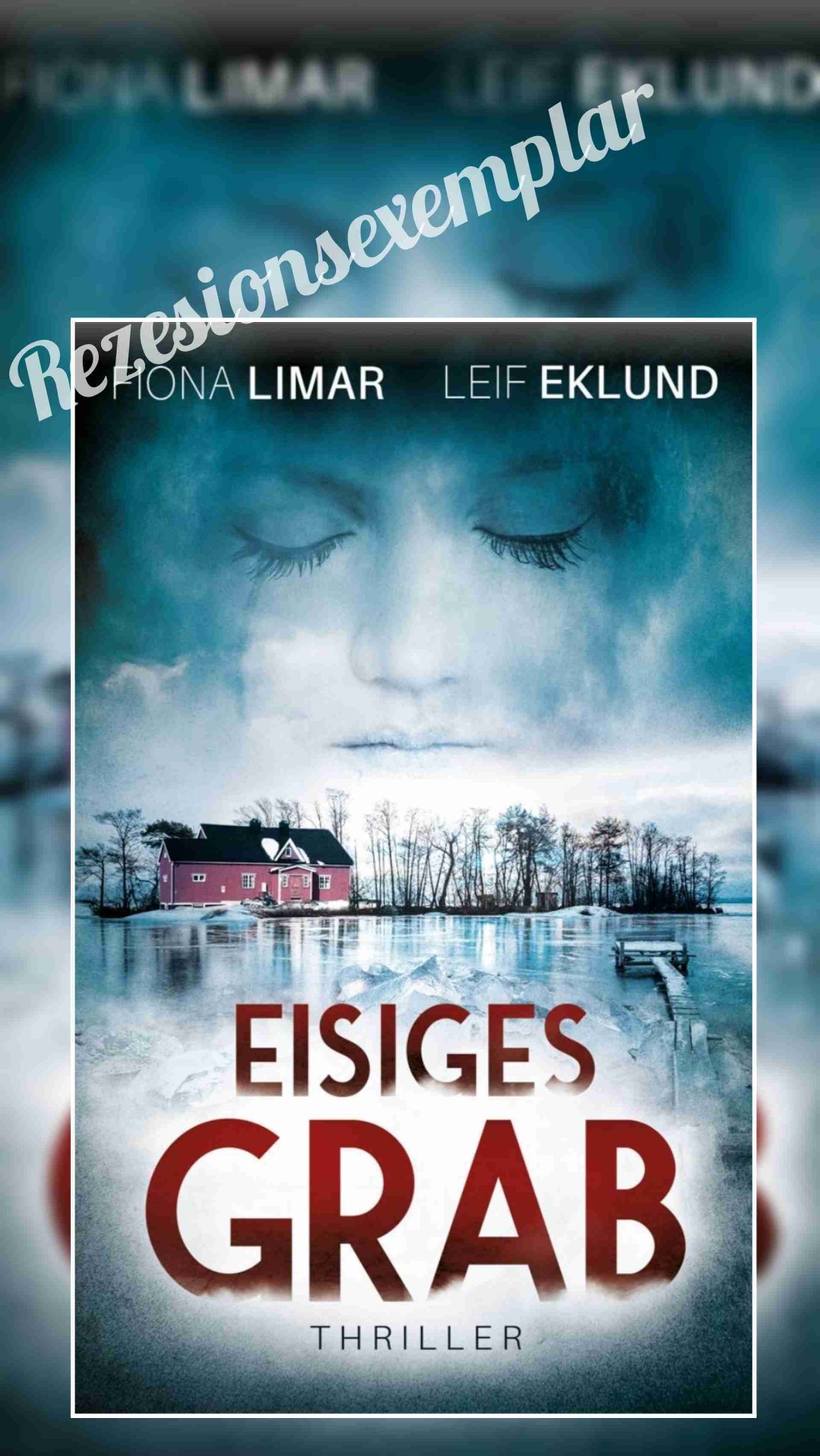 Gutes Buch.
