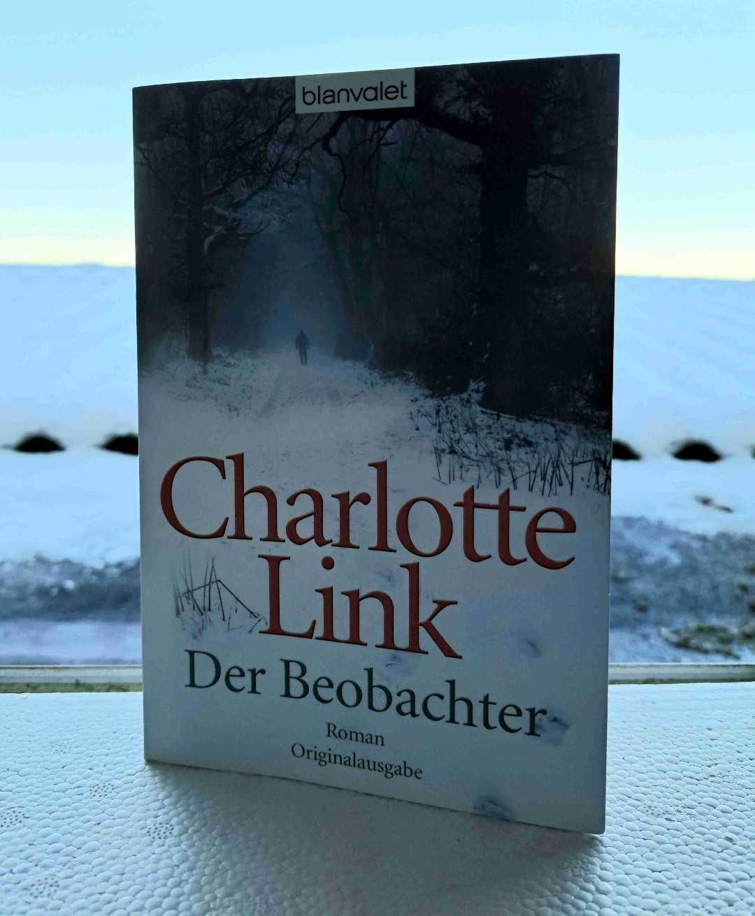 Fazit:
5 von 5 Sternen, absolutes Highlight
Eigene Kritik an mich und Empfehlung an alle, die das Buch lesen möchten: ich las das Buch zu langsam. Während der Kapitel wurden Details wie Schnipsel verteilt. Im ersten Moment scheinen Kleinigkeiten kaum von Bedeutung zu sein, ergaben dann aber am Ende ein großes Ganzes. Wenn man wie ich das Buch zu langsam liest, vergisst man eventuell das ein oder andere Detail.