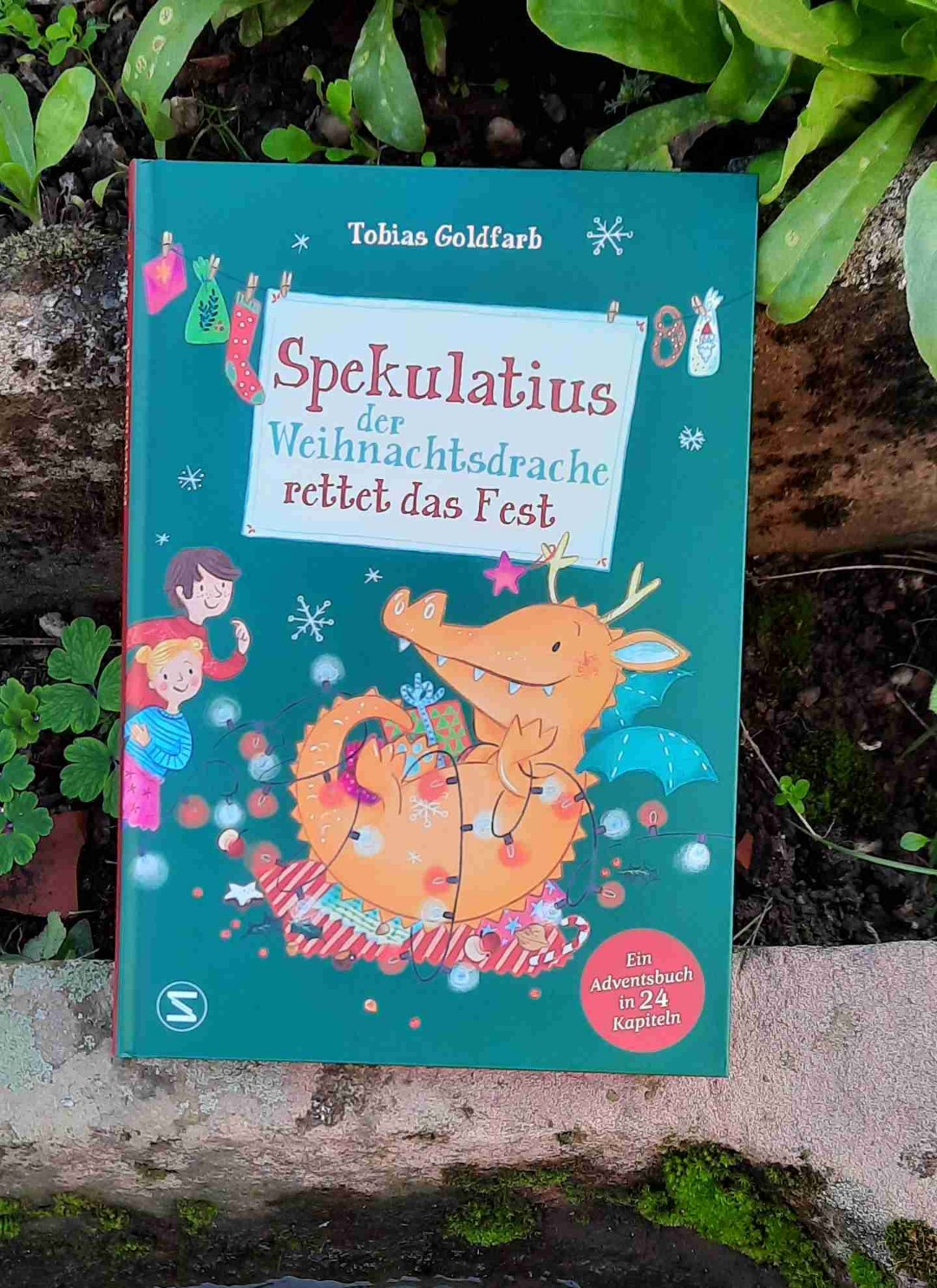 Eine Adventskalendergeschichte für Kinder in 24 Kapitel.