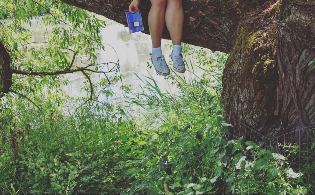 Das Ganze erinnert ein bisschen an Alice im Wunderland. Es ist alles sehr merkwürdig und erst die letzte Seite löst das Rätsel um den Proceß auf. Und gerade dadurch gehört das Buch für mich zu den besten Büchern die ich gelesen habe. Ich werde das Buch definitiv nochmal lesen.