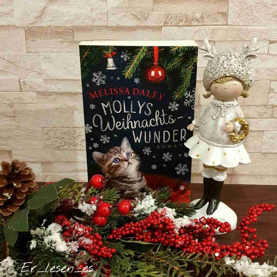 ⭐️⭐️⭐️(⭐️)
Weihnachtliche Geschichte aus Sicht einer Katze. Leider kam die Katzenperspektive nicht so glaubwürdig rüber wie erhofft.