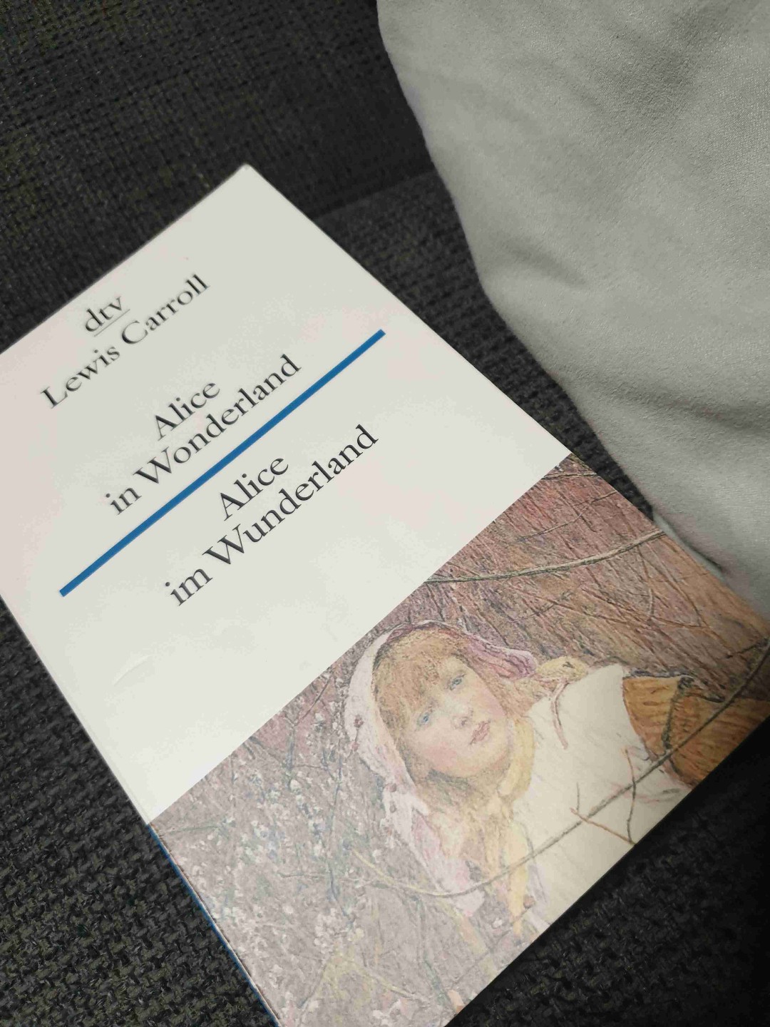 Und das kleine Mädchen wunderte sich, wo es denn gelandet war.