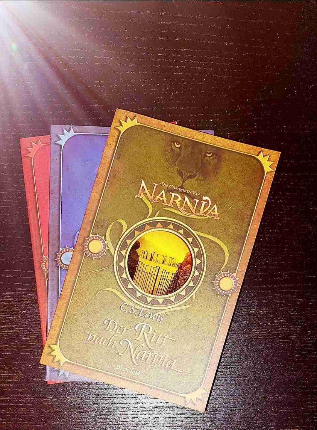 🦁 Teil 3 - Ein kurzer spannender Ritt nach Narnia
Andere Charaktere, andere Welt, trotzdem sehr spannend und magisch geschrieben. Und am Ende führen alle Wege nach Narnia 🐎🏜
