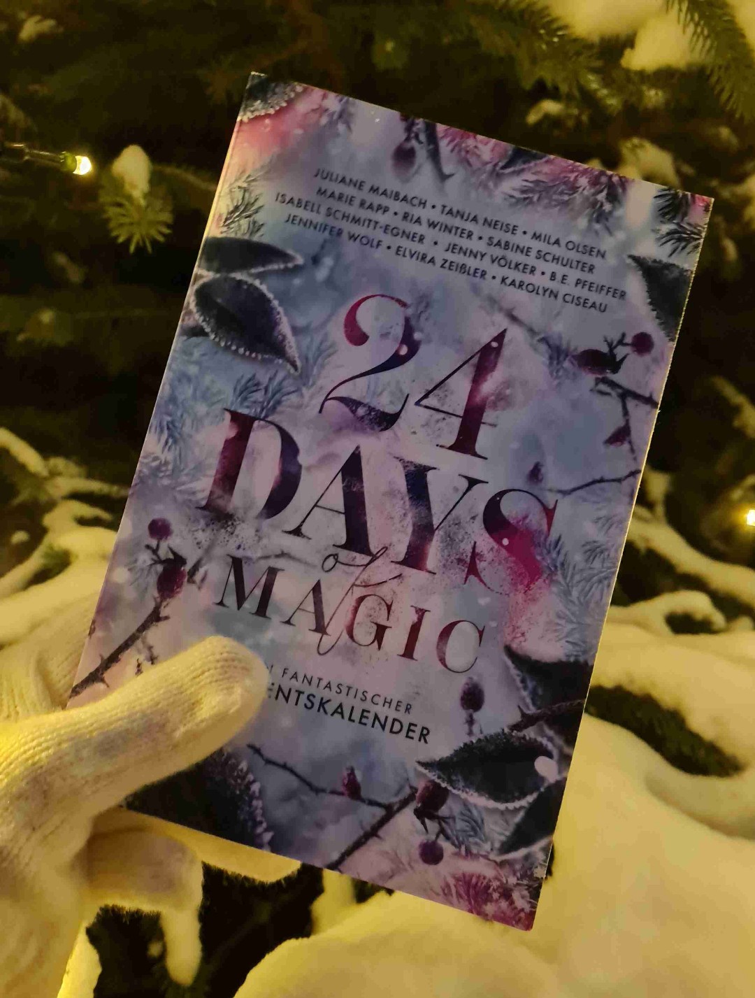 24 Magische Adventstage