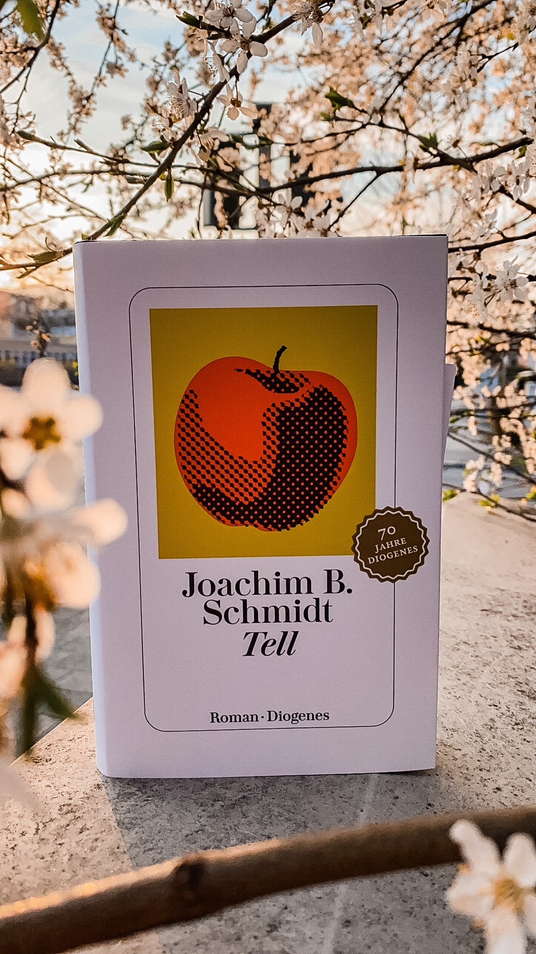 Schillers Drama neu interpretiert: Die sagenumwobene Geschichte von Wilhelm Tell wird auf eine neue und moderne Art und Weise spannend erzählt.