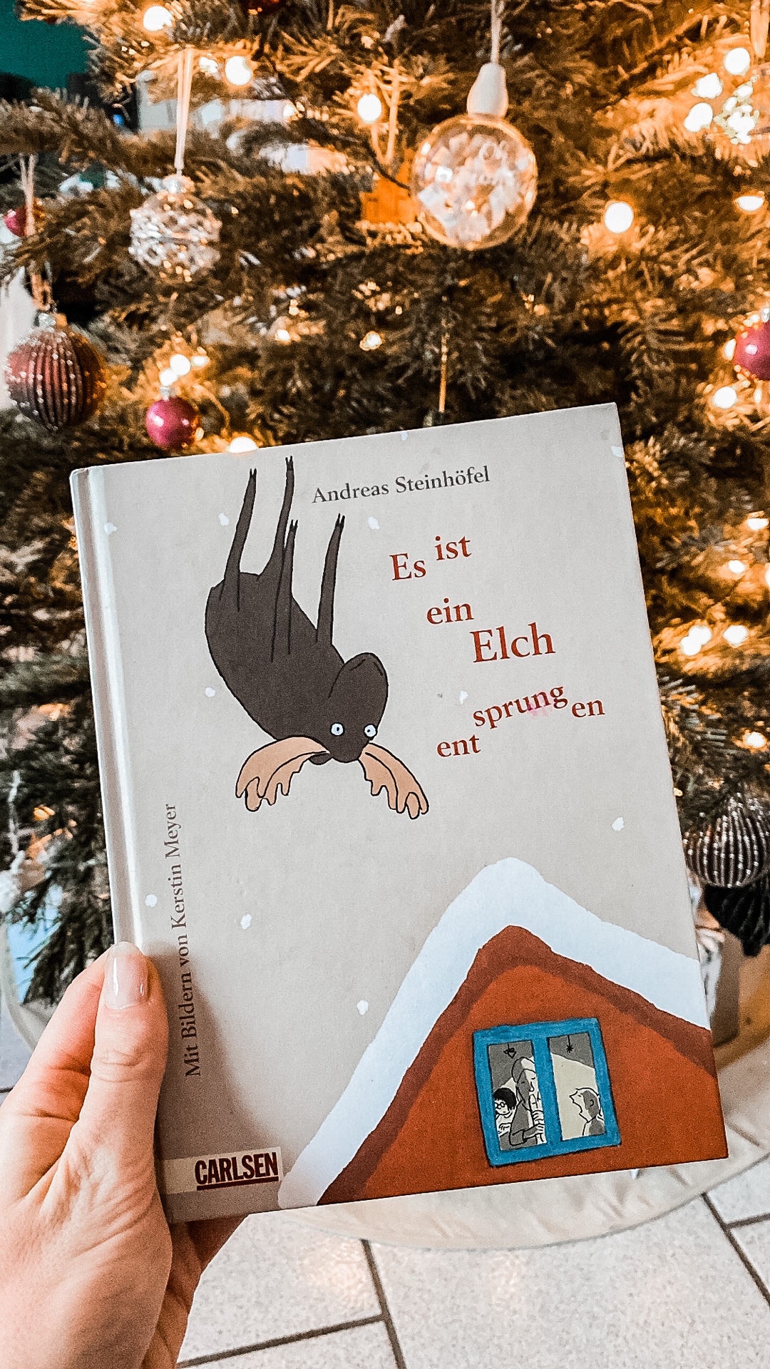 Kurze lustige Weihnachtsgeschichte mit Witz und wunderschönen Illustrationen.