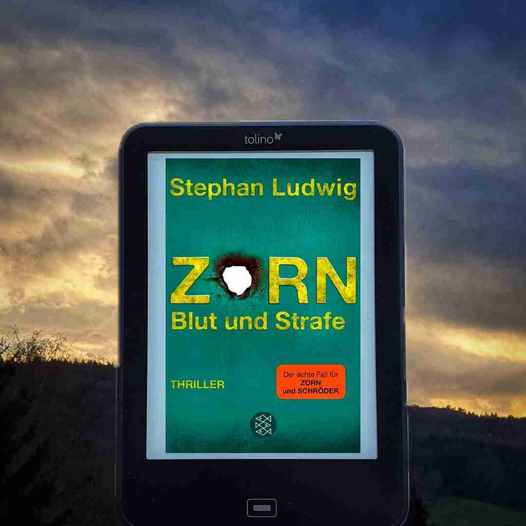 Die Entwicklung von Zorn und Schröder gefallen mir immer mehr. Ich freue mich auf weitere Fälle.