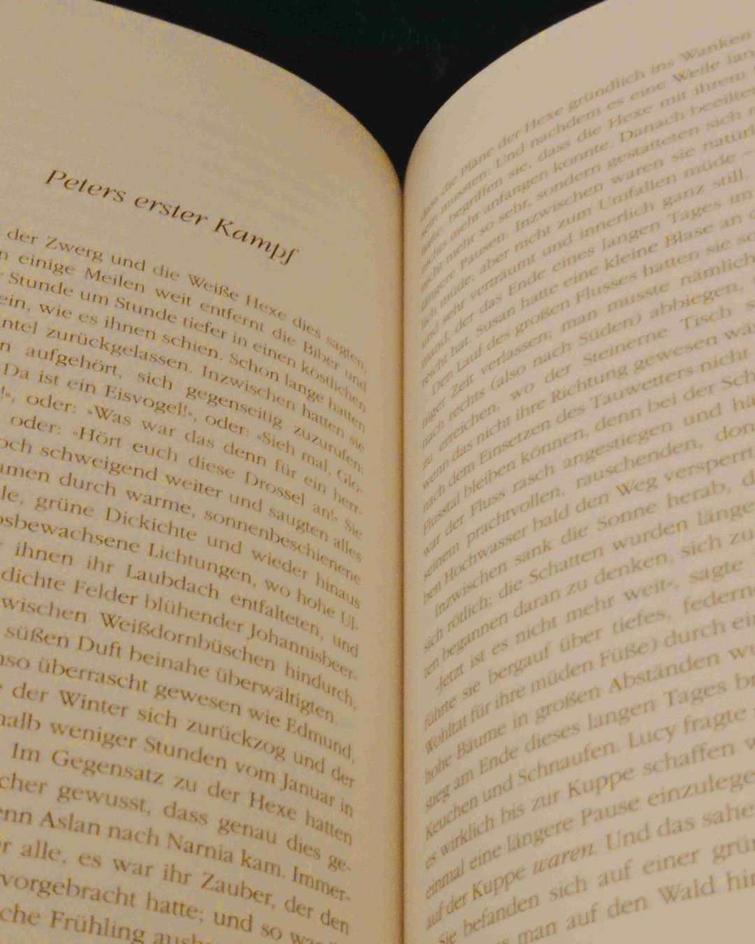 Das Buch hat mir gut gefallen.
Es hat sich wie ein langes Märchen angefühlt.
Es war manchmal nicht ganz so spannend, dennoch perfekt zum abschalten.