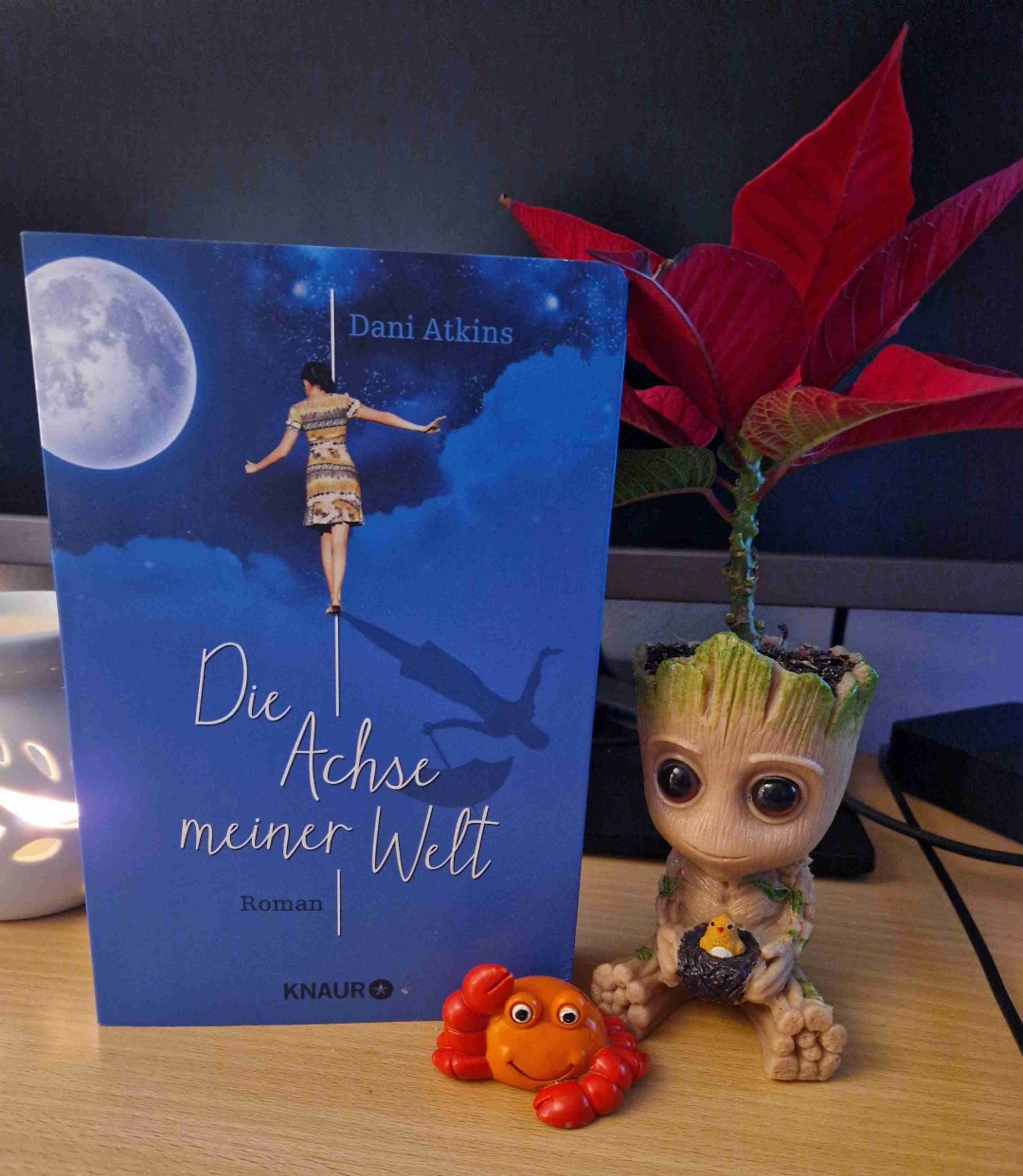 Ein richtig toller Roman über Freundschaft, Liebe, Verlust und Vertrauen.