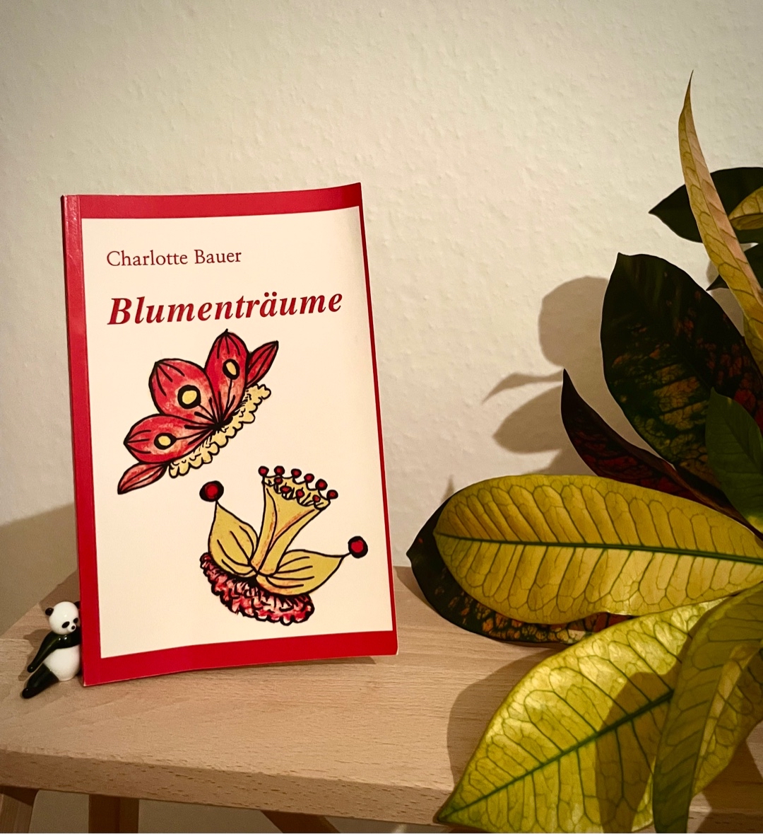 Eine niedliches Kinderbuch zum Vorlesen und Selbstlesen mit schönen Illustrationen