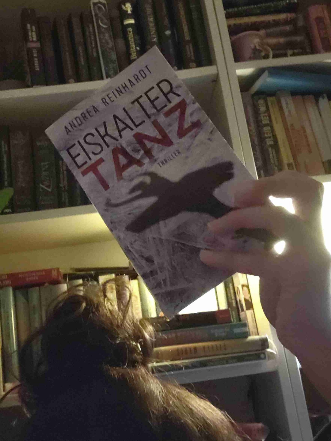 Eiskalter Tanz durch die Seiten...