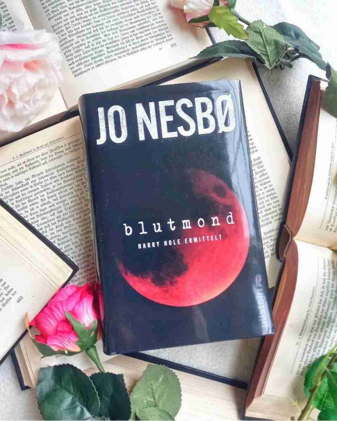 Ein spannender Thriller mit einem ungewöhnlichen Ermittler