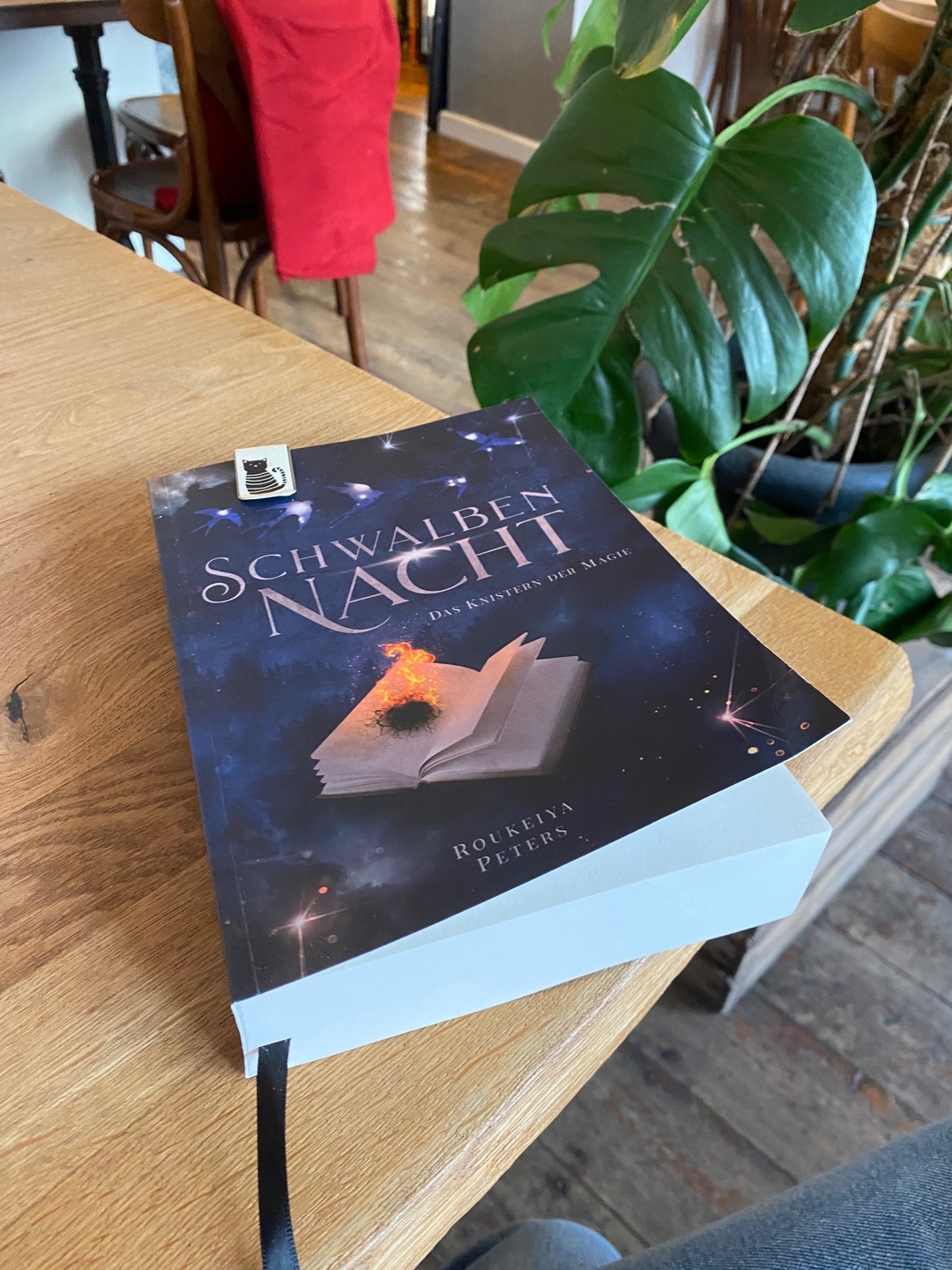 Wie bereits beim ersten Band kann ich nur sagen, tolles Buch, tolle Geschichte und wahnsinnig sympathische Charaktere (na gut vielleicht nicht unbedingt alle, ihr werdet mein lesen schon herausfinden wen ich damit meine 😅)