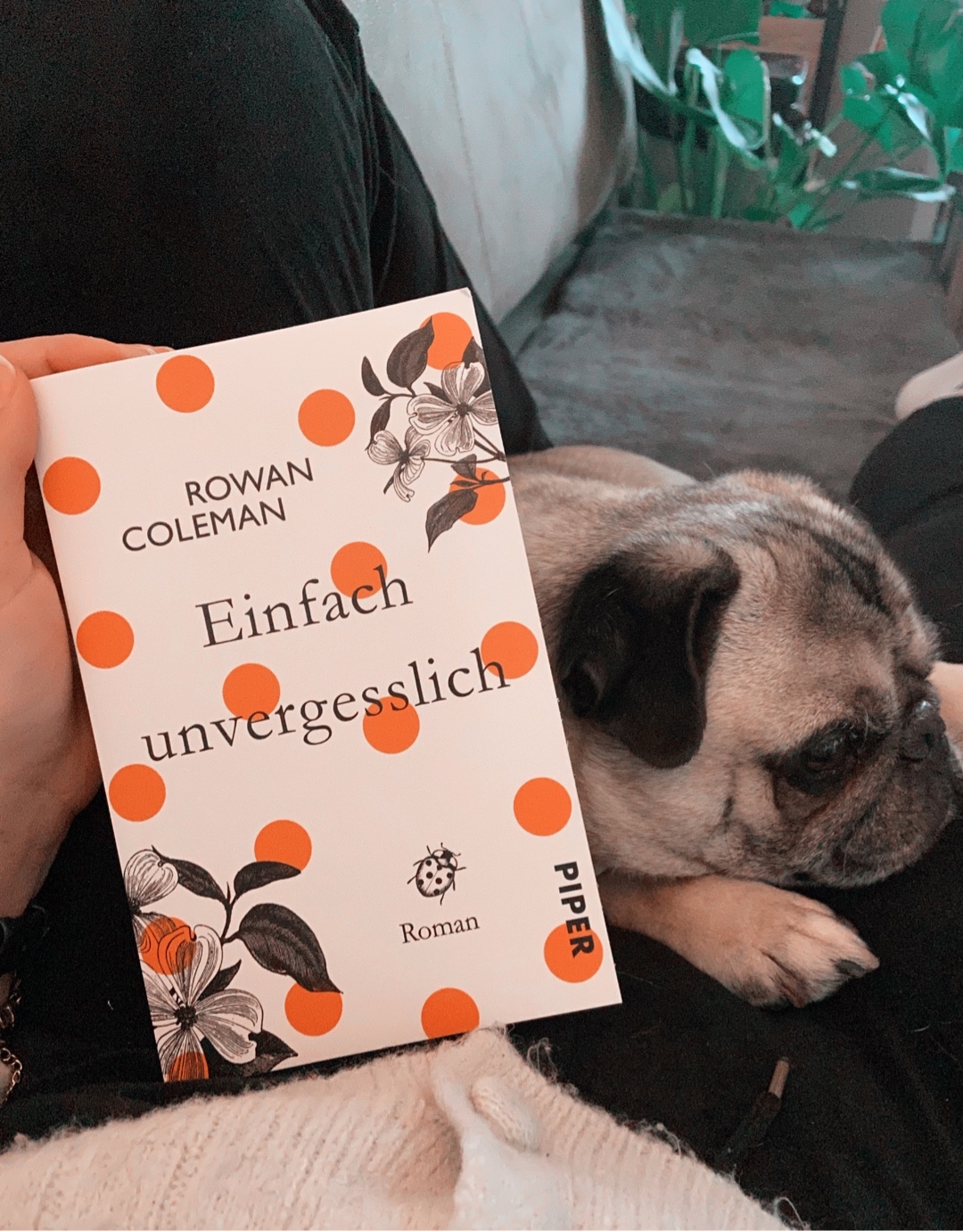 Ergreifende Geschichte über Familie, das Leben und die Liebe