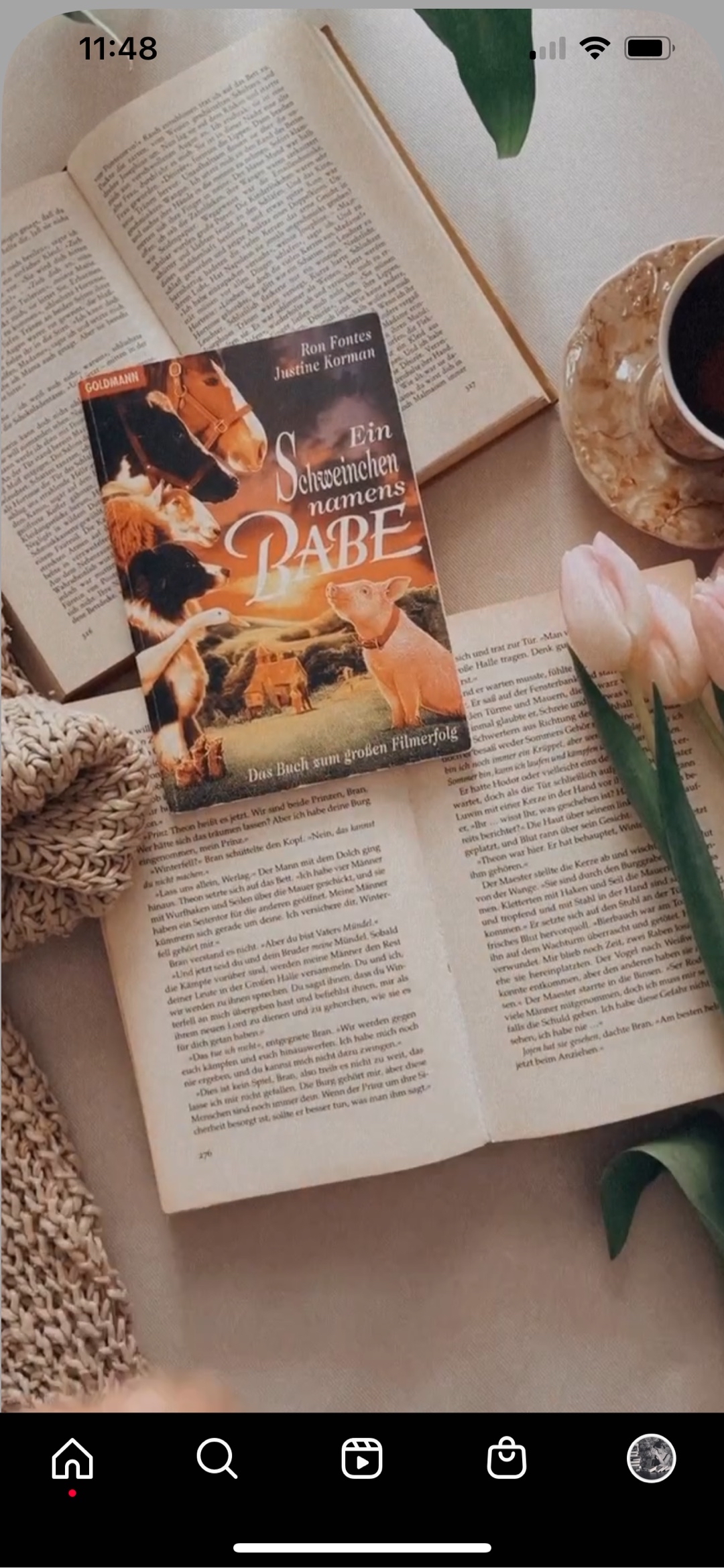 Der Film „ein Schweinchen namens Babe“ von 1995 kannte ich aus meiner Kindheit. Deswegen war das Buch dazu zu lesen sehr schön. Tatsächlich konnte ich mich auch nicht mehr ganz an die Handlung erinnern. Der Schauspieler James Cromwell, der Arthur Hogget spielte, wurde während der Dreharbeiten Veganer und setzte sich seit den Dreharbeiten stark für die Tierrechte ein.