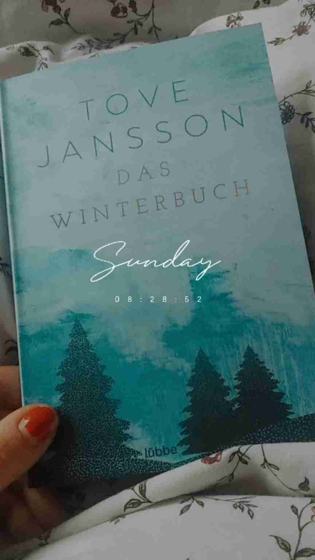 Warum habe ich nicht schon früher etwas von Tove Jansson gelesen? Was für eine schöne Sprache, welch interessanter Blick aufs Leben. Davon möchte ich gerne mehr.
