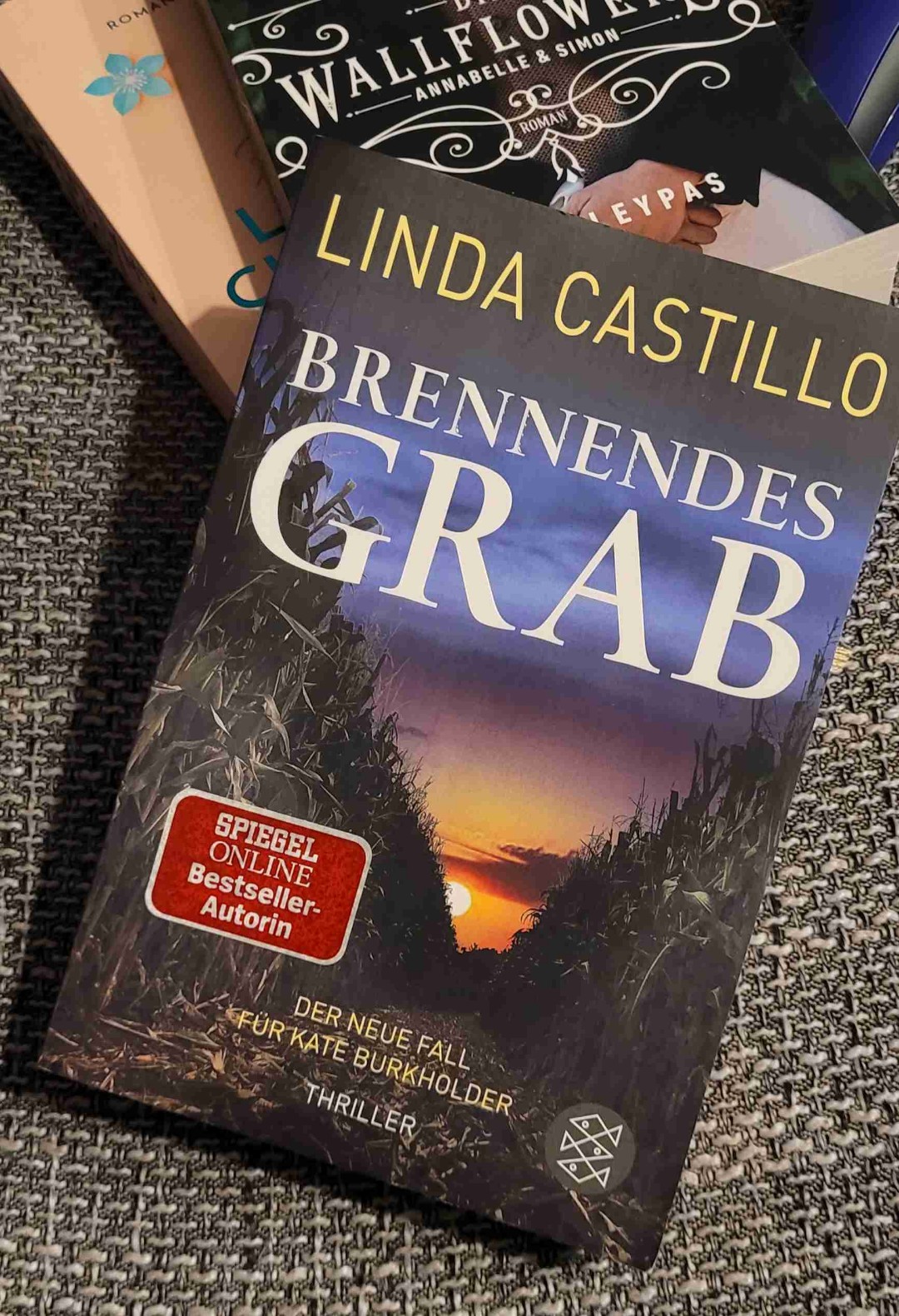 Nach längerer Pause endlich die Reihe weiter gelesen und ich weiß auch wieder, warum ich die Geschichten um Kate Burkholder so mag.