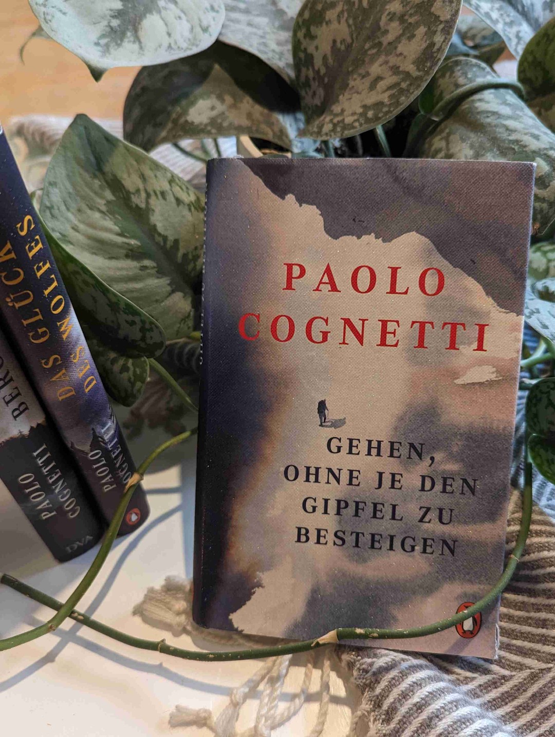 Tolles Buch, das viele Denkanstöße gibt