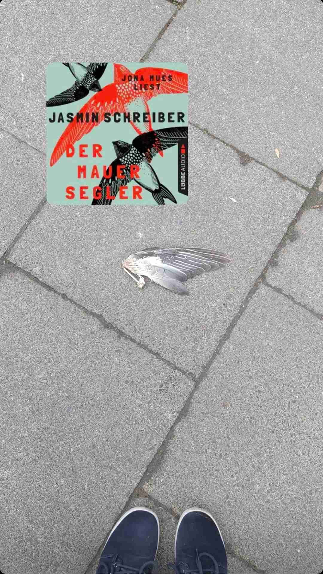 Düster, traurig, wunderschön 
