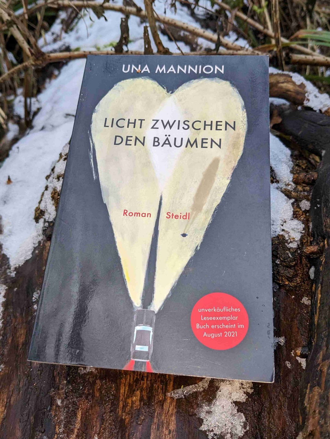 Sehr spannender Coming-of-age-Roman. Die Suspense greift von der ersten Seite.